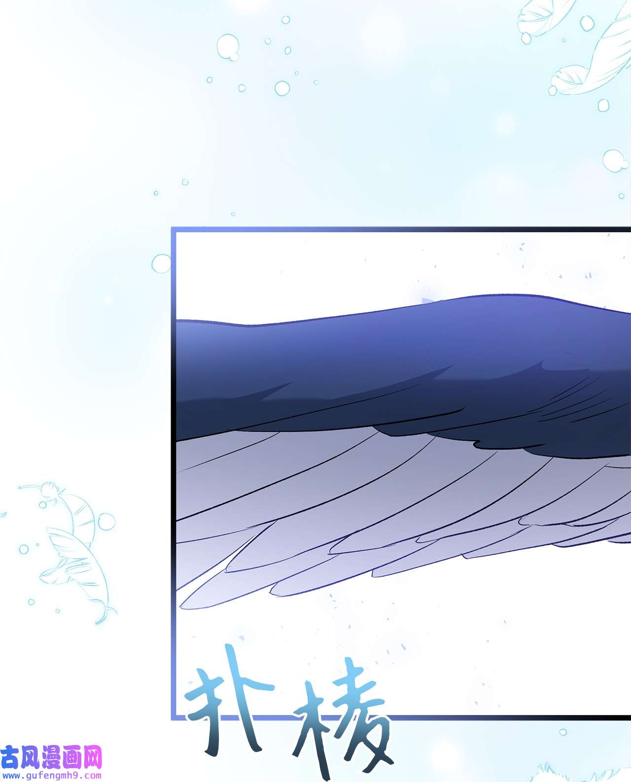 兔子与黑豹的共生关系60 黑豹需要兔兔