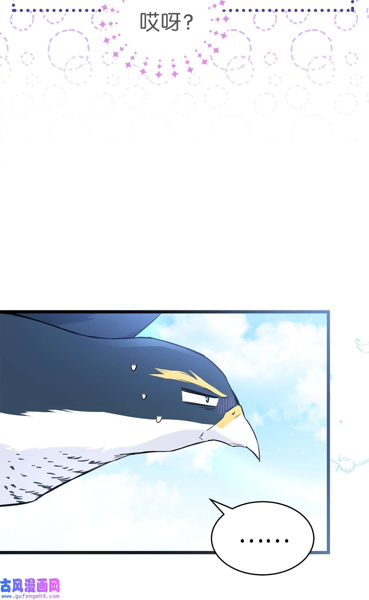 兔子与黑豹的共生关系60 黑豹需要兔兔