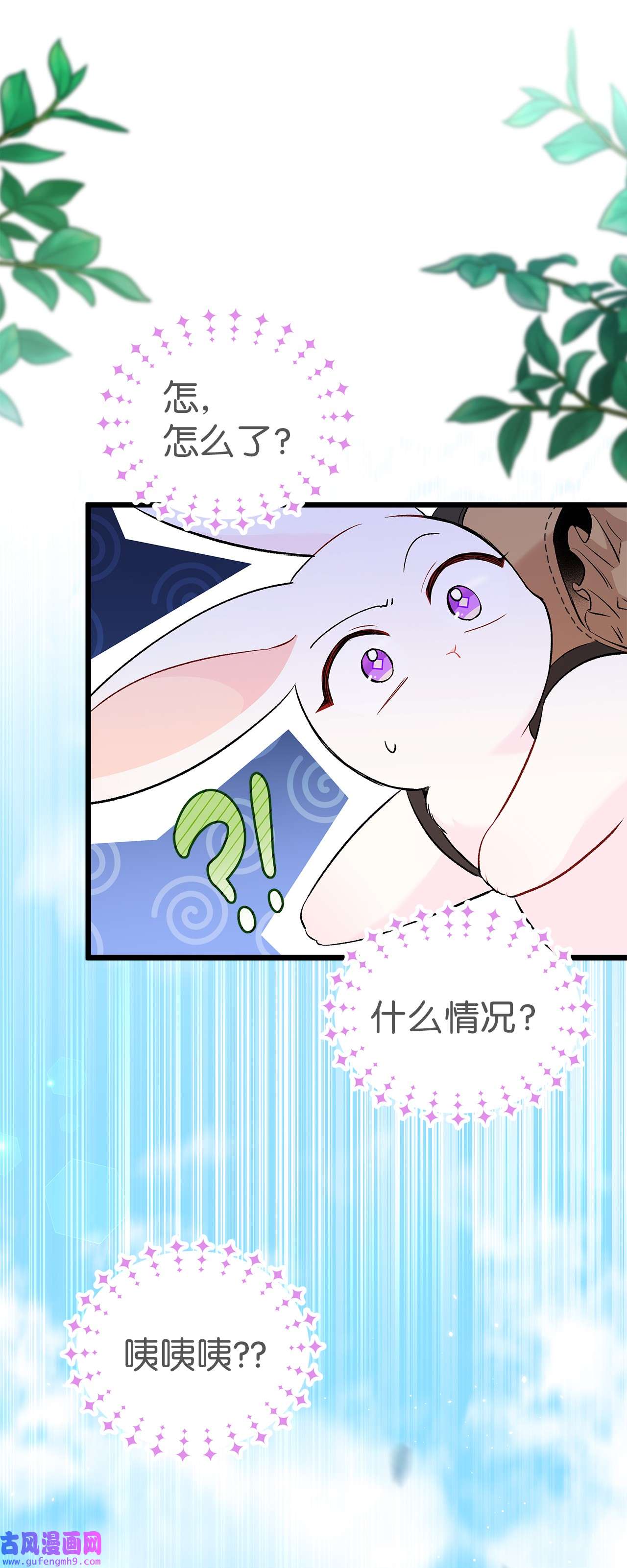 兔子与黑豹的共生关系60 黑豹需要兔兔