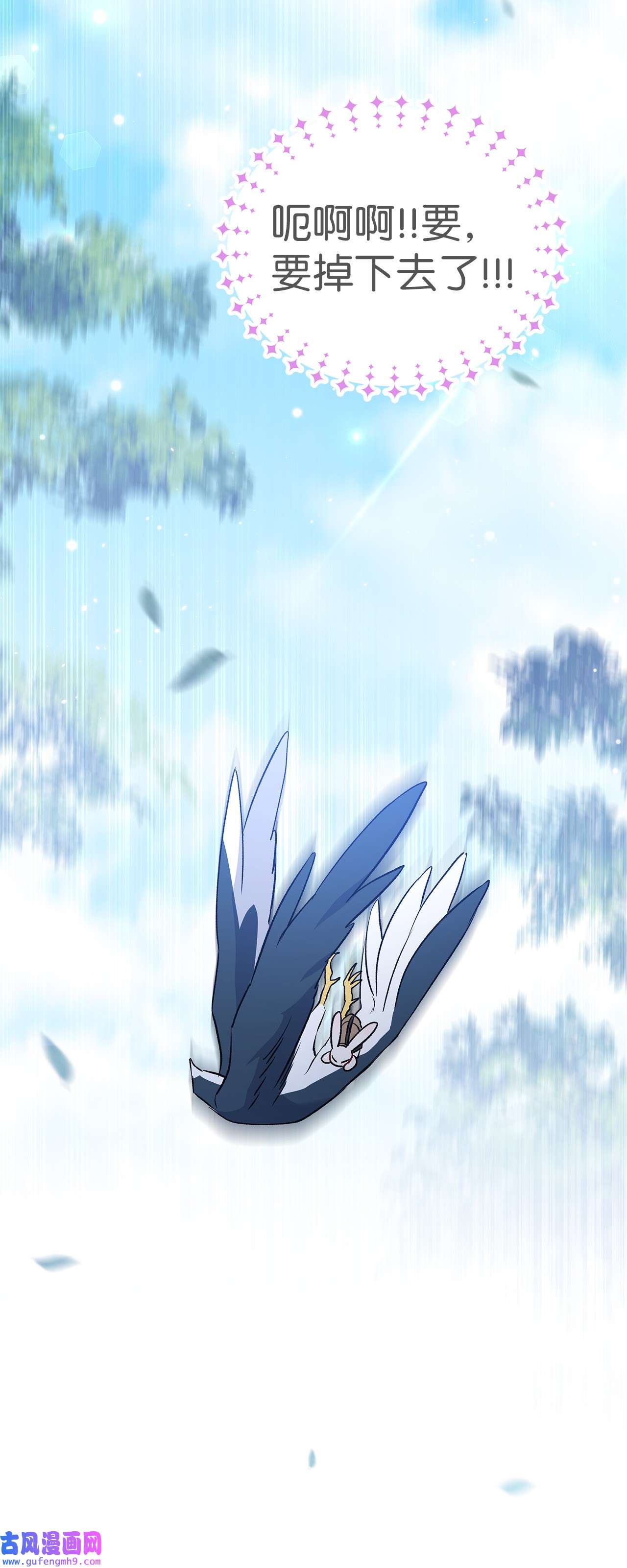 兔子与黑豹的共生关系60 黑豹需要兔兔