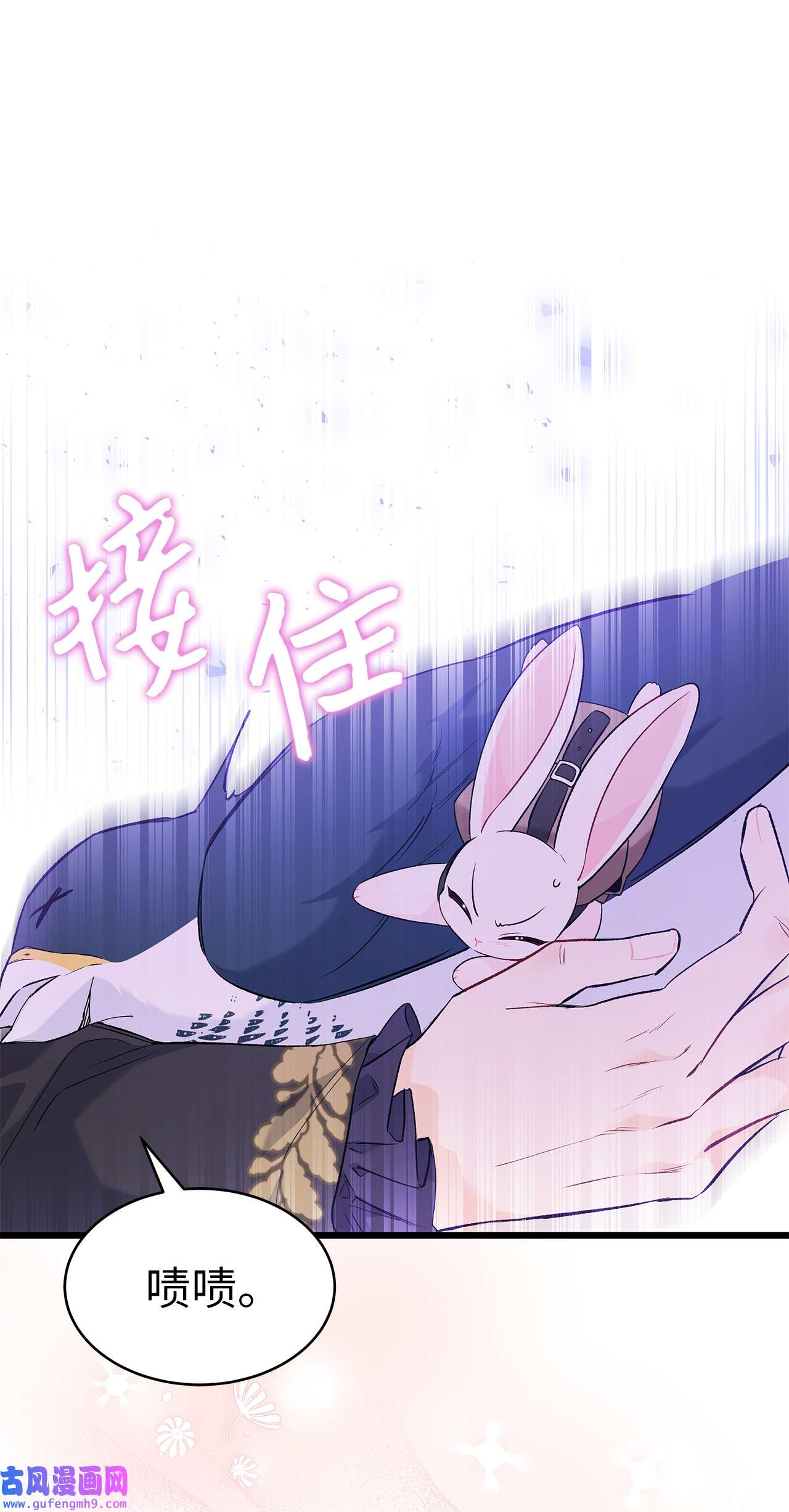 兔子与黑豹的共生关系60 黑豹需要兔兔