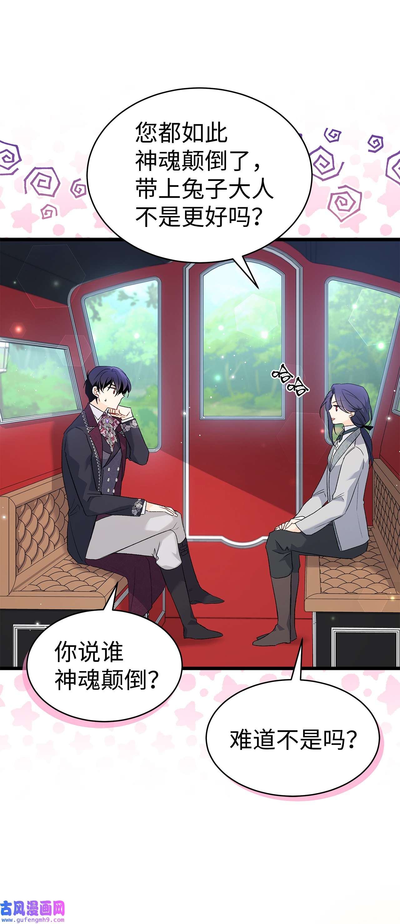 兔子与黑豹的共生关系60 黑豹需要兔兔