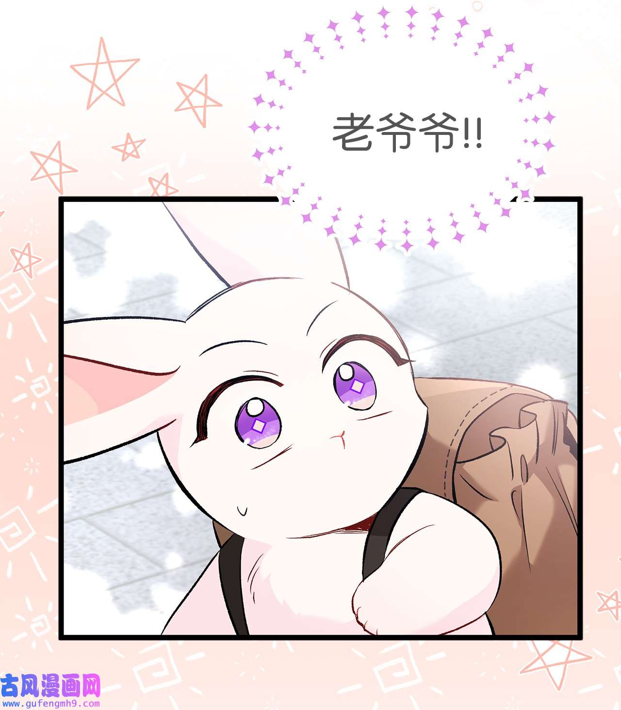 兔子与黑豹的共生关系60 黑豹需要兔兔