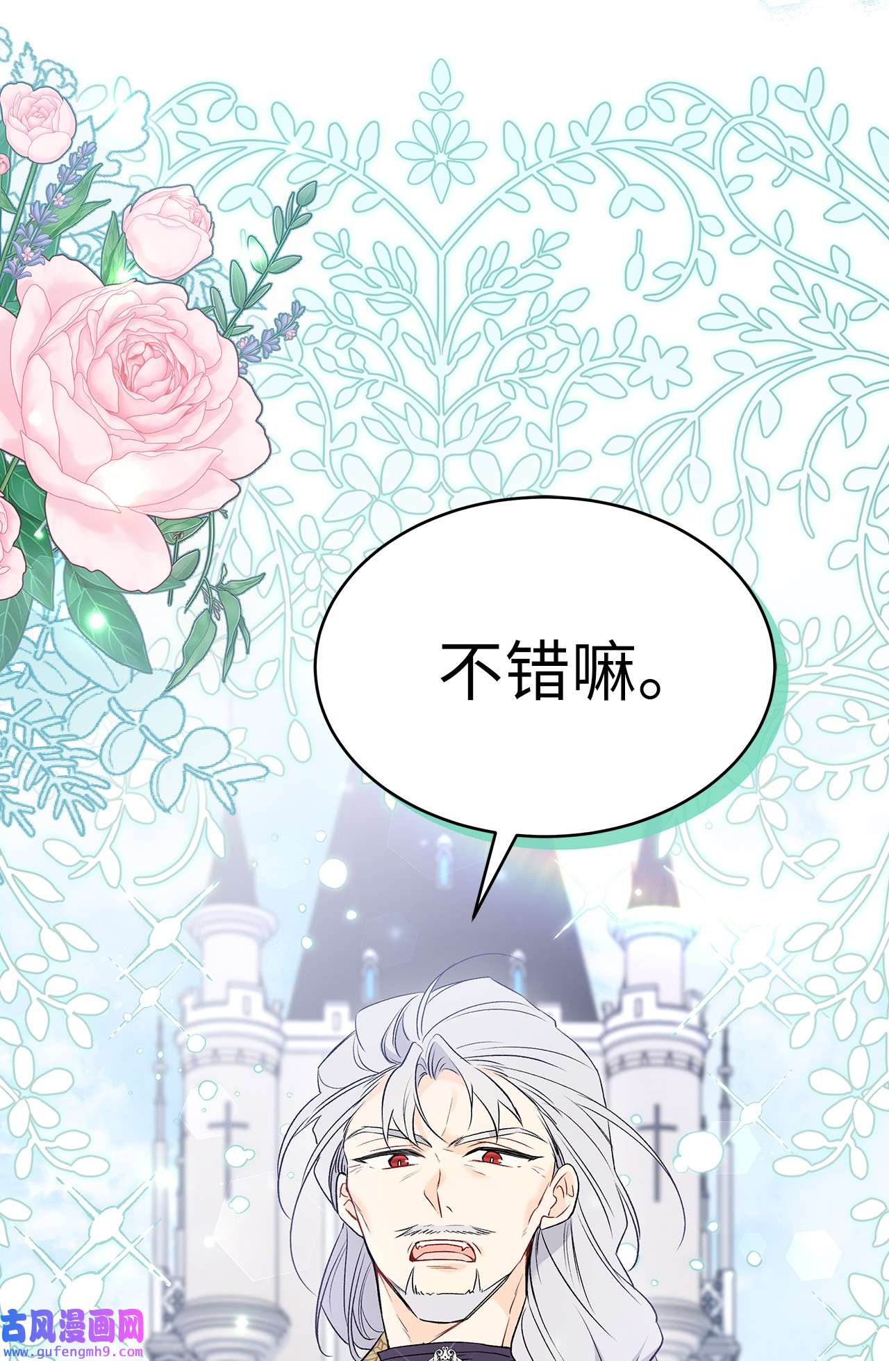 兔子与黑豹的共生关系60 黑豹需要兔兔