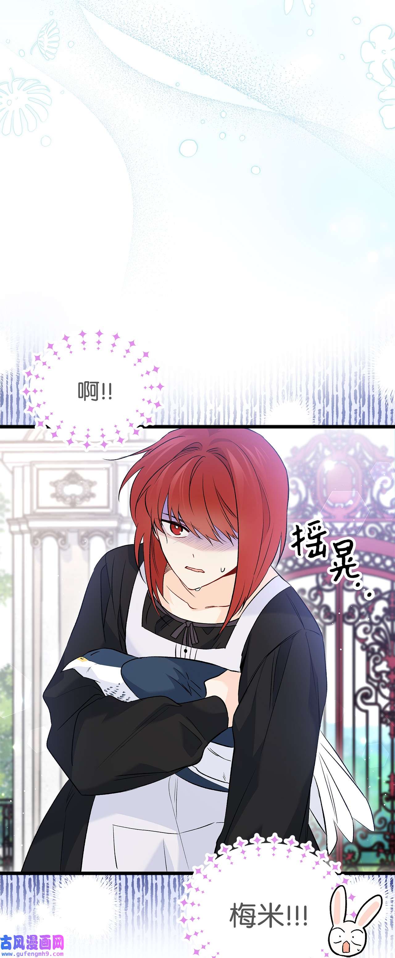 兔子与黑豹的共生关系60 黑豹需要兔兔