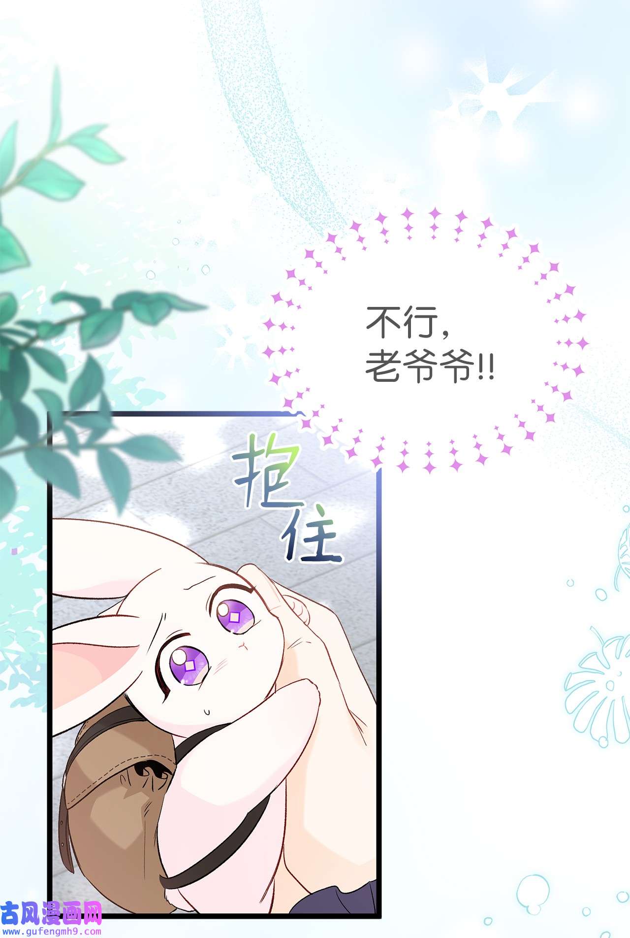 兔子与黑豹的共生关系60 黑豹需要兔兔