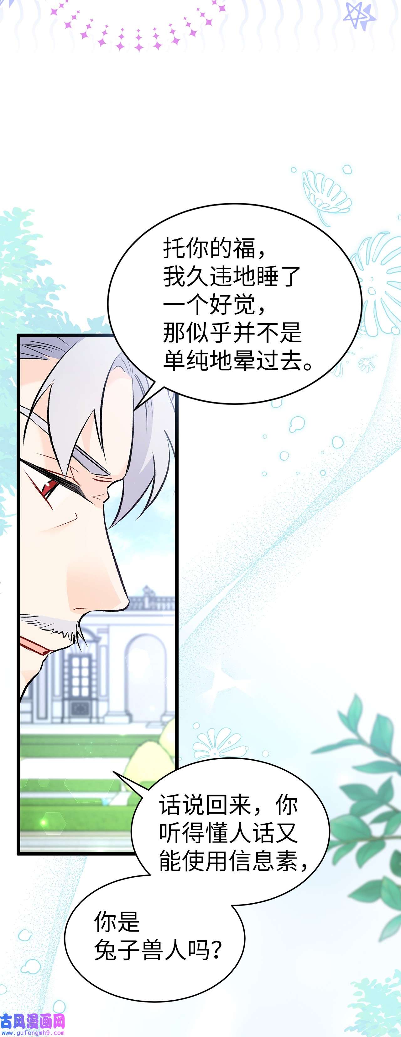 兔子与黑豹的共生关系60 黑豹需要兔兔