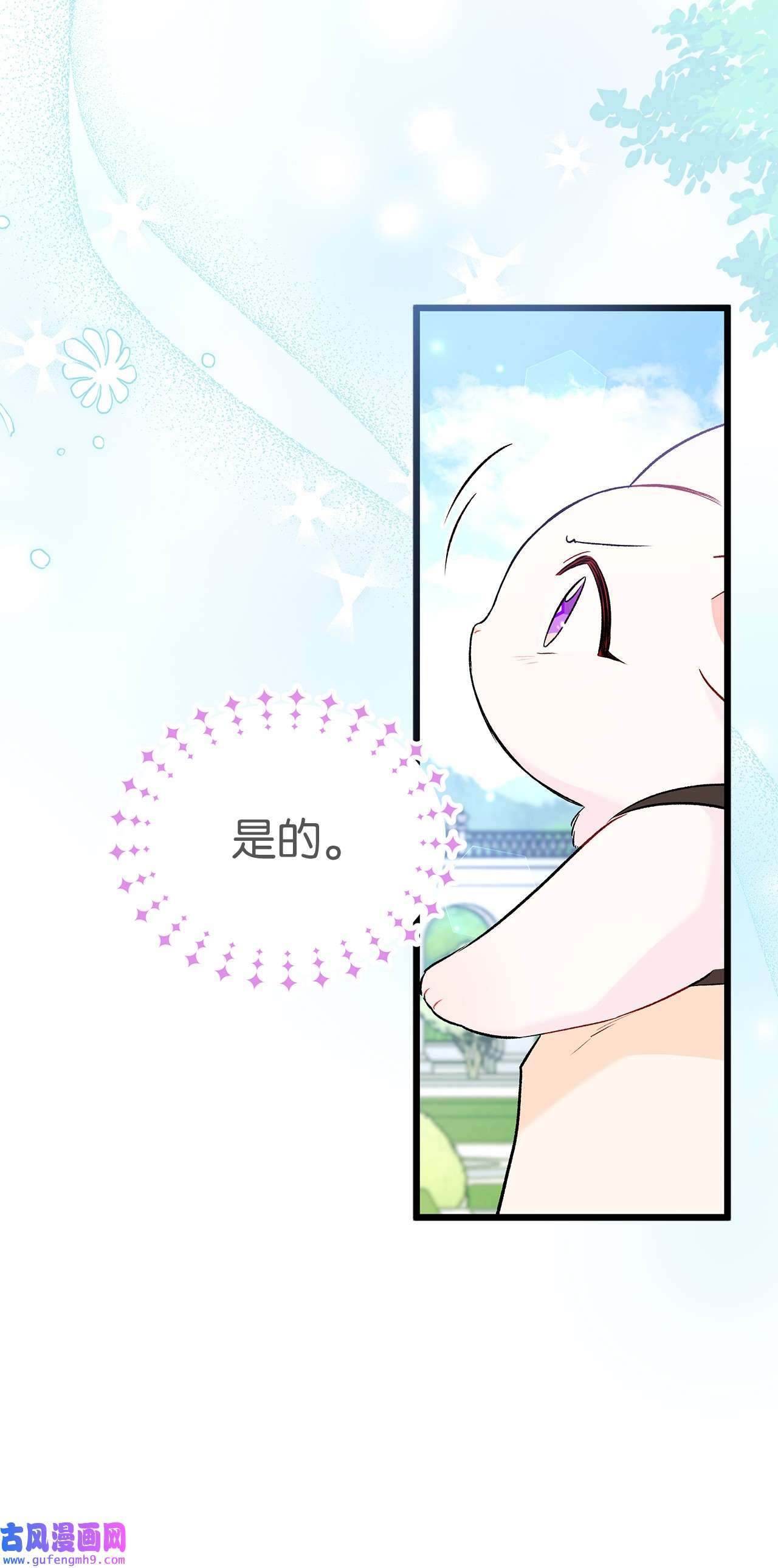 兔子与黑豹的共生关系60 黑豹需要兔兔