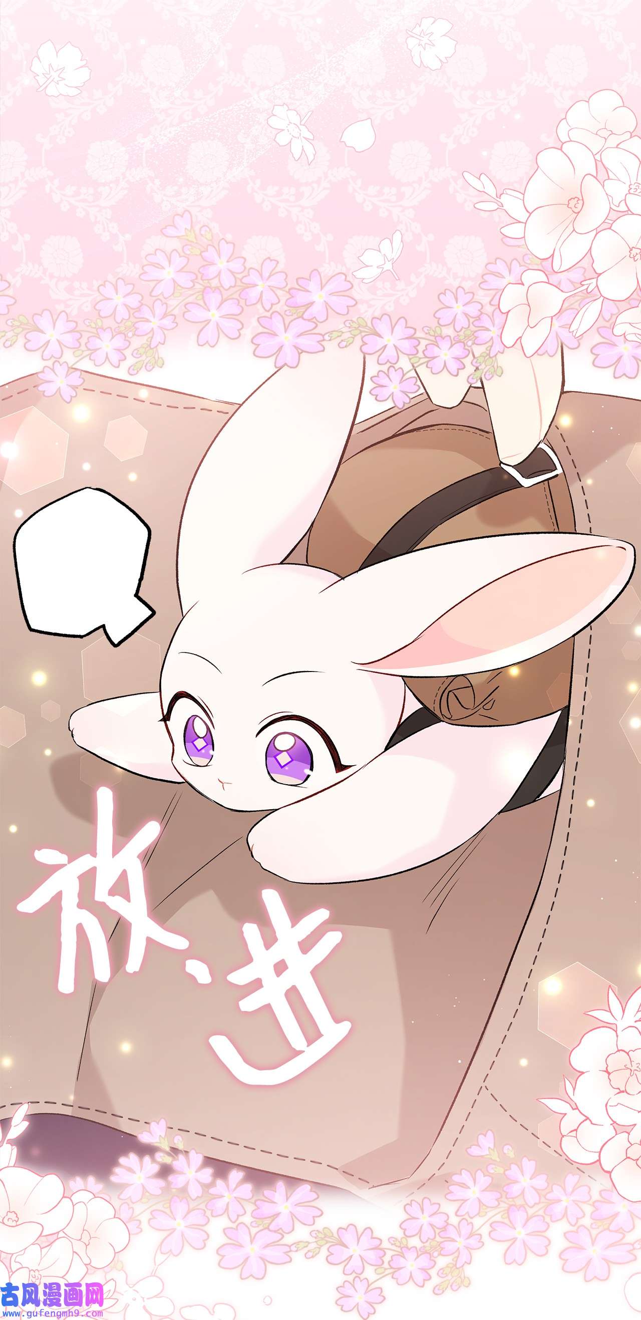 兔子与黑豹的共生关系60 黑豹需要兔兔