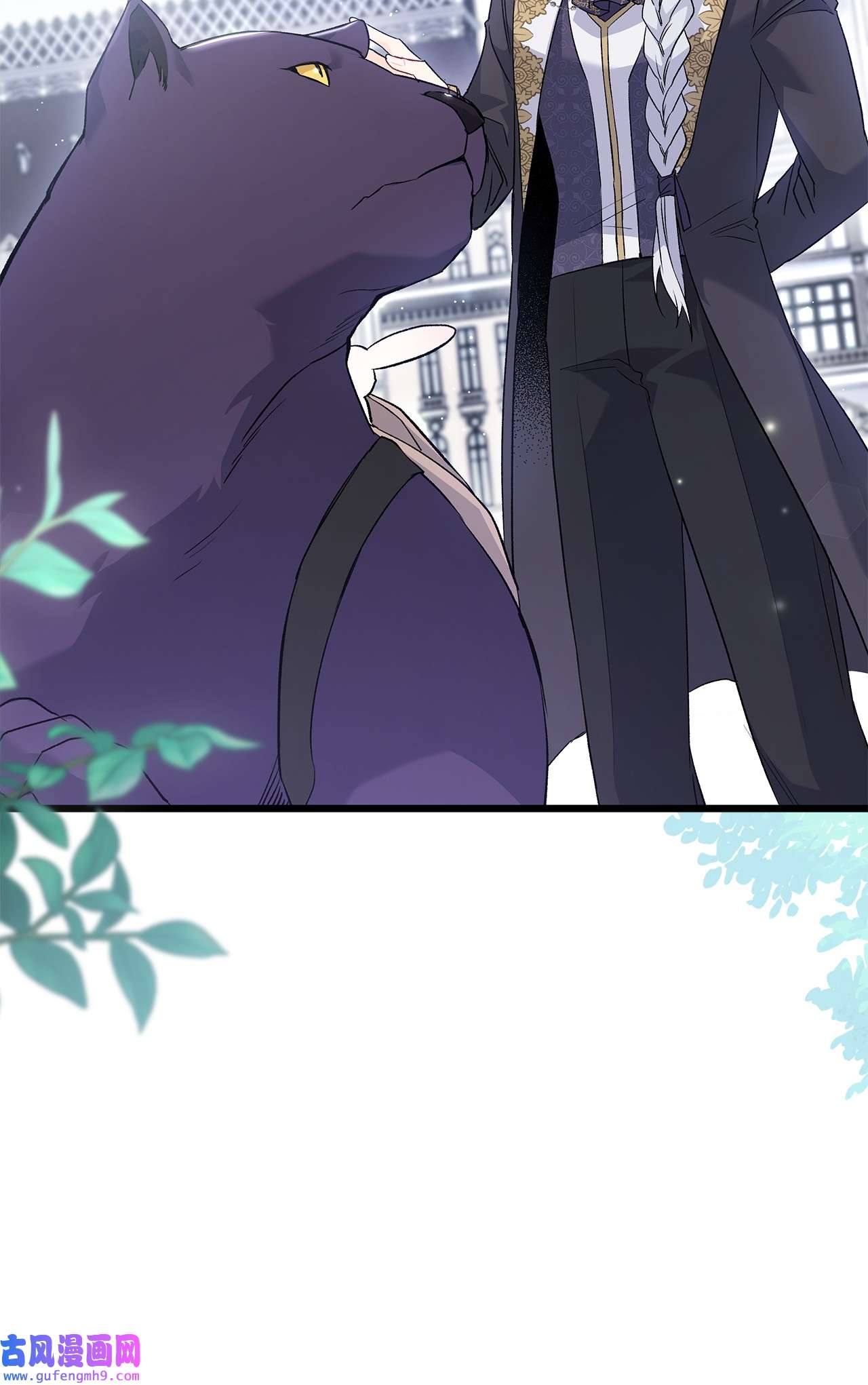 兔子与黑豹的共生关系60 黑豹需要兔兔