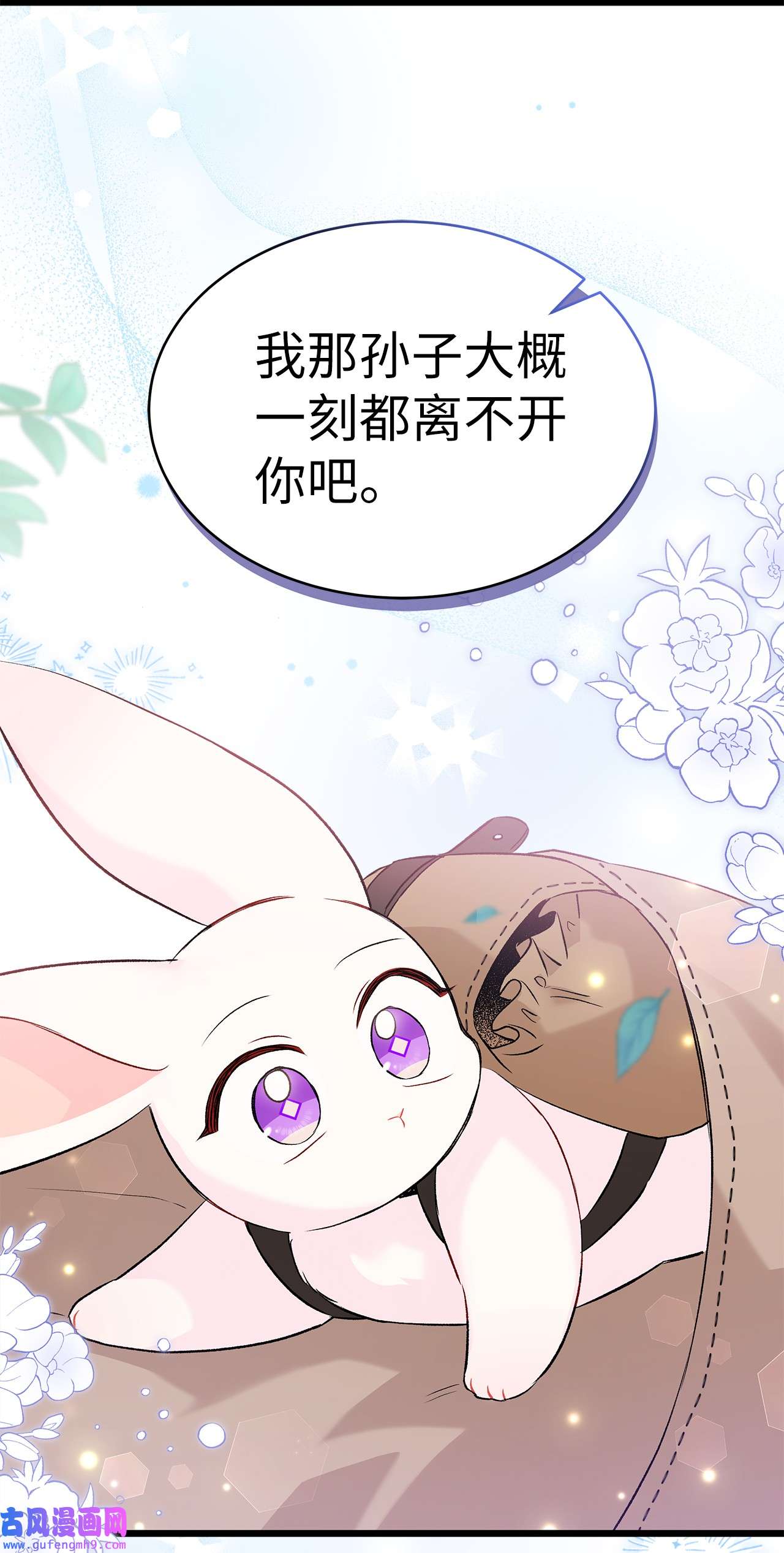 兔子与黑豹的共生关系60 黑豹需要兔兔