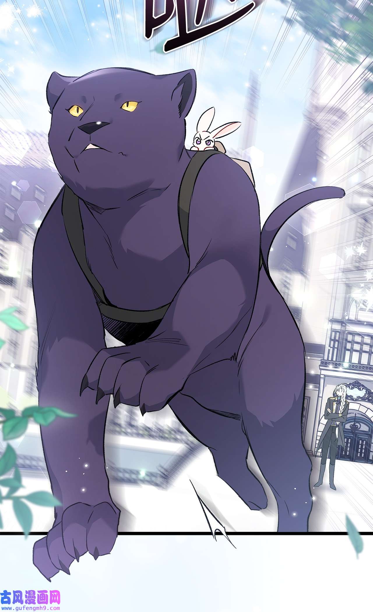 兔子与黑豹的共生关系60 黑豹需要兔兔