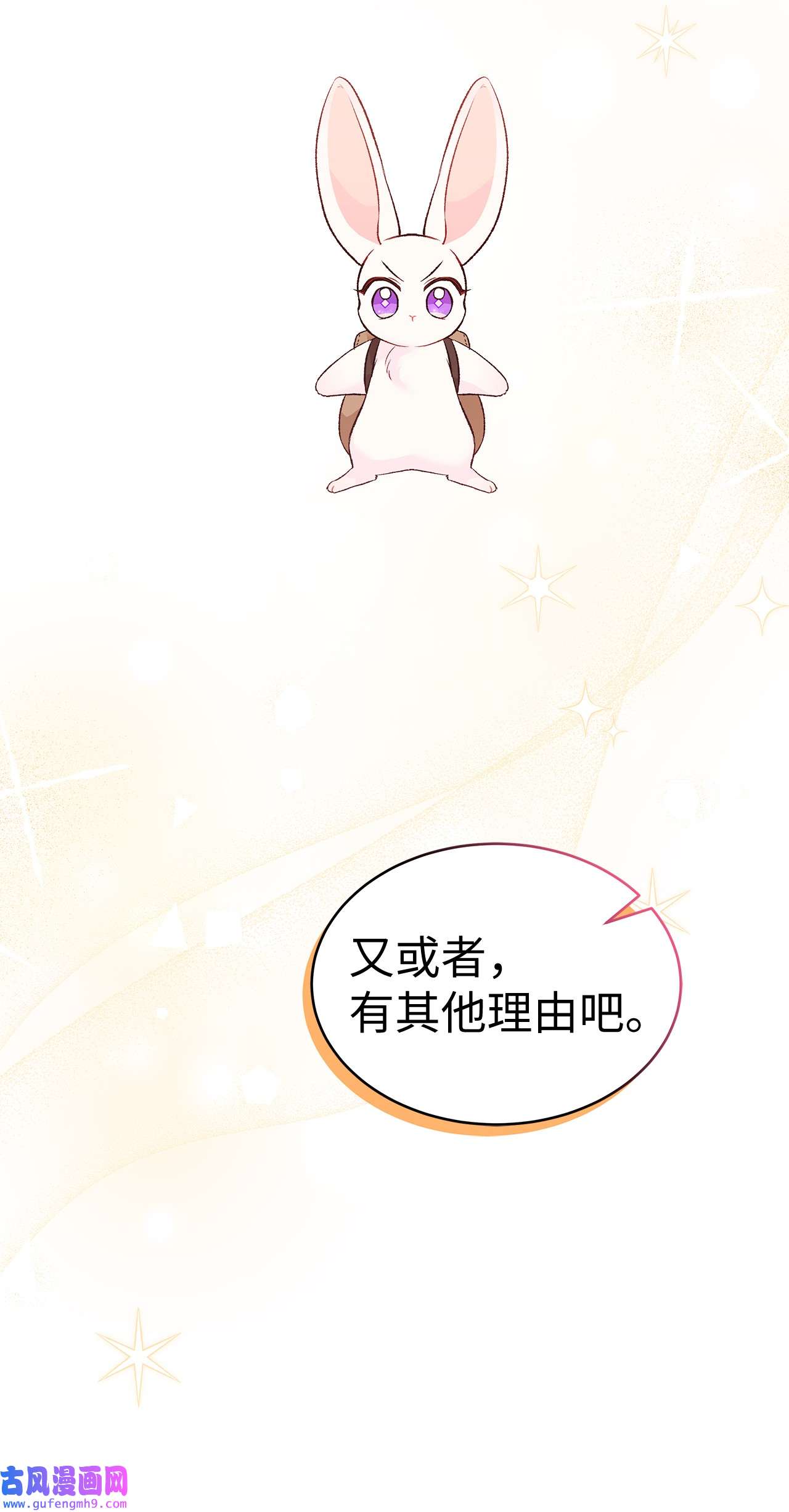 兔子与黑豹的共生关系60 黑豹需要兔兔