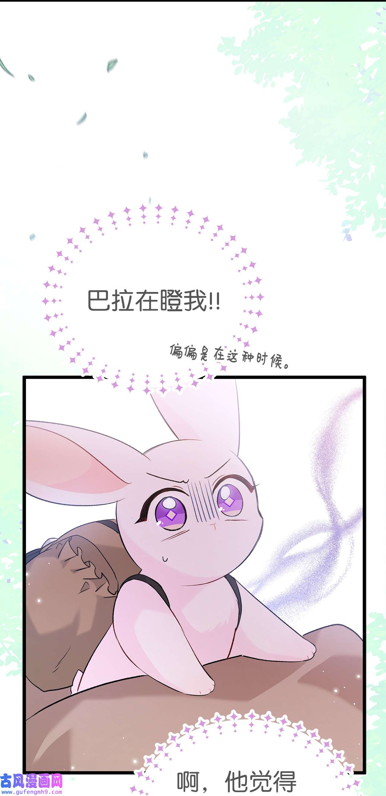 兔子与黑豹的共生关系61 巴拉想反水？