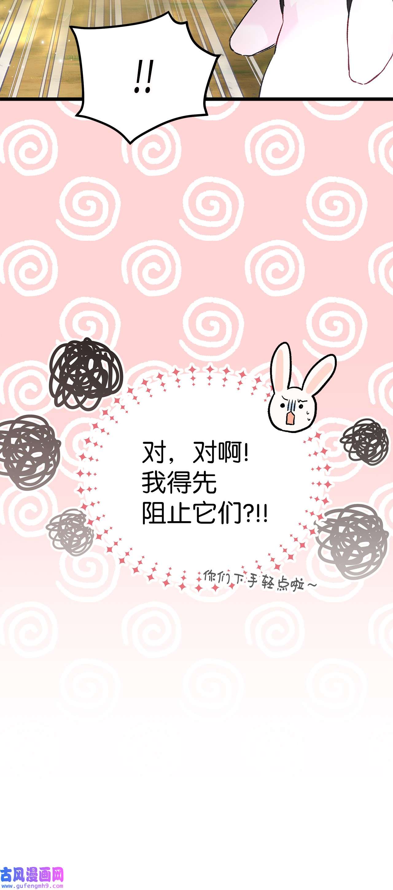 兔子与黑豹的共生关系61 巴拉想反水？