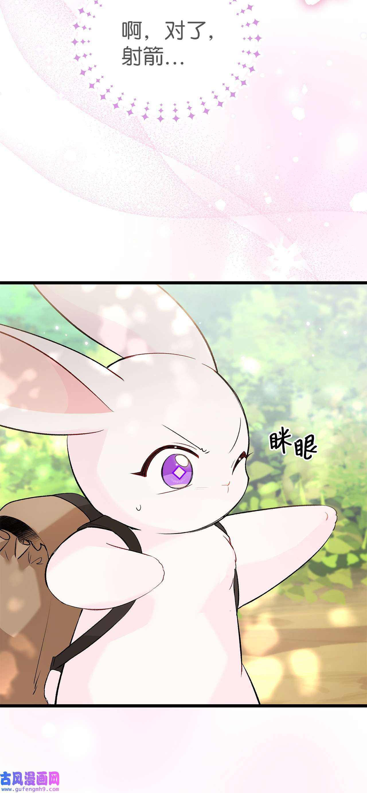 兔子与黑豹的共生关系61 巴拉想反水？