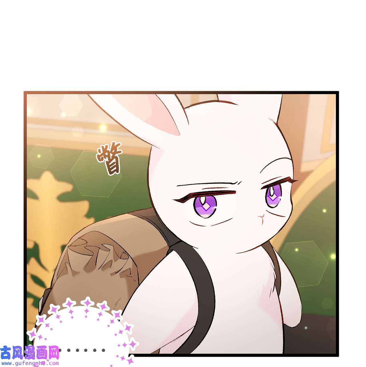 兔子与黑豹的共生关系62 狮子的黑豹