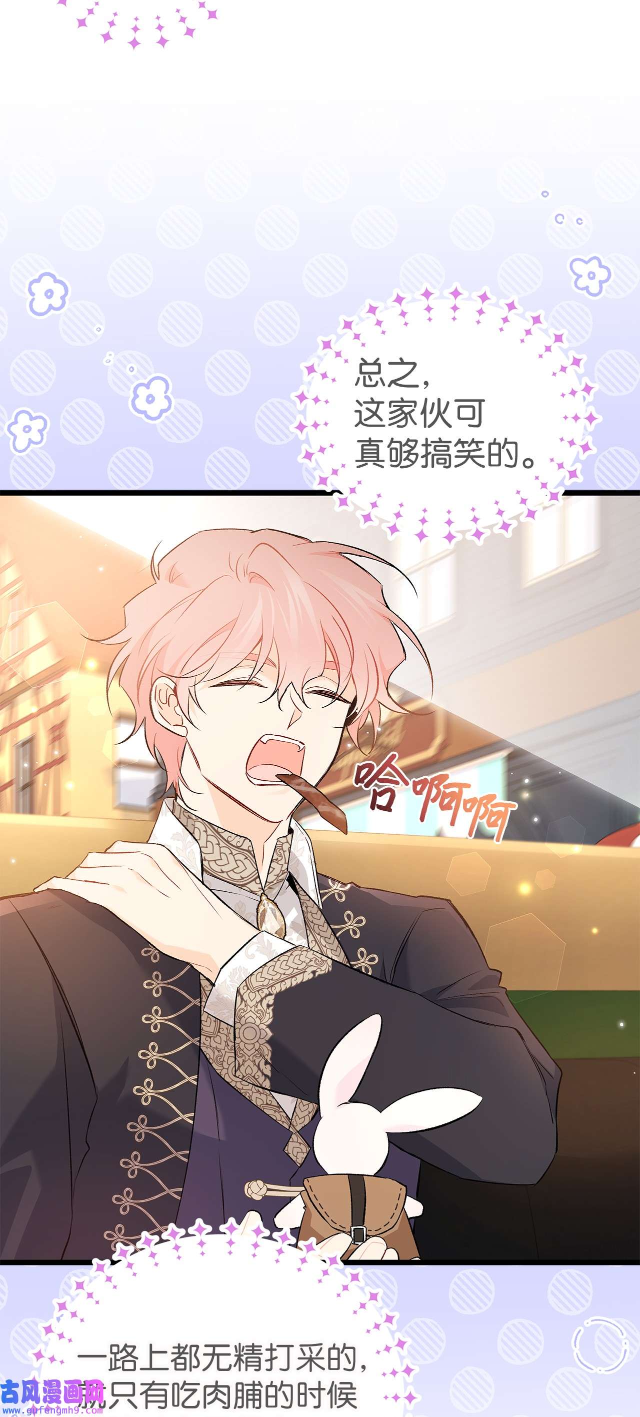 兔子与黑豹的共生关系62 狮子的黑豹