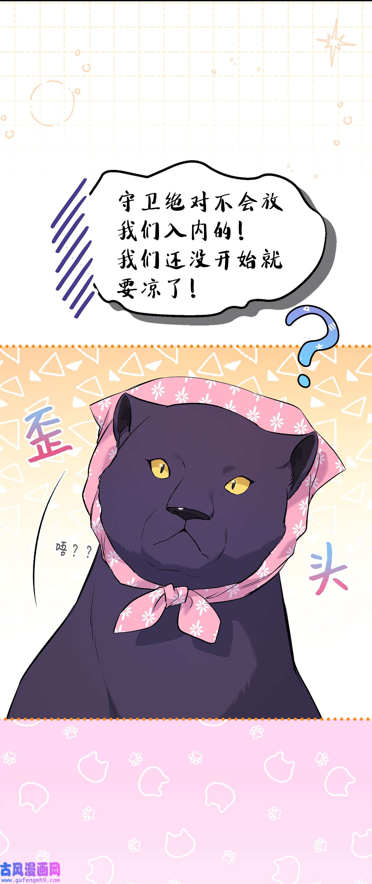 兔子与黑豹的共生关系62 狮子的黑豹