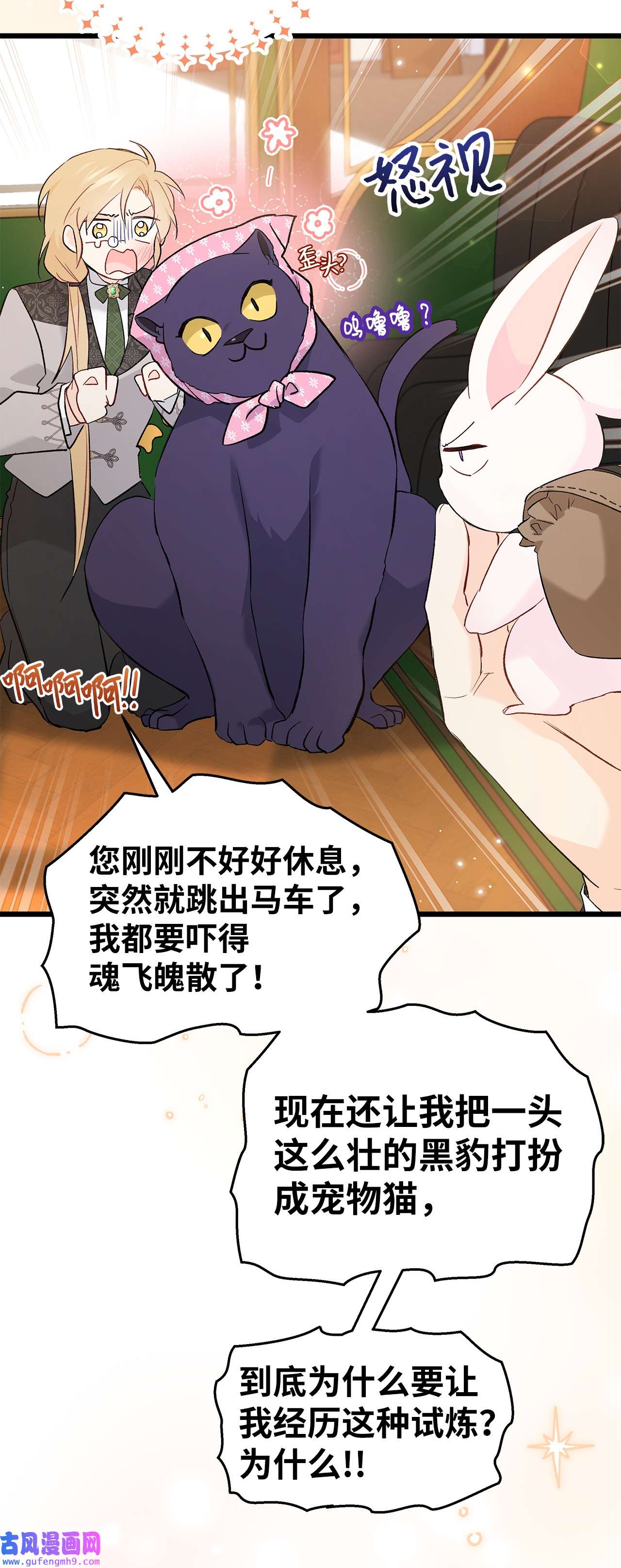 兔子与黑豹的共生关系62 狮子的黑豹