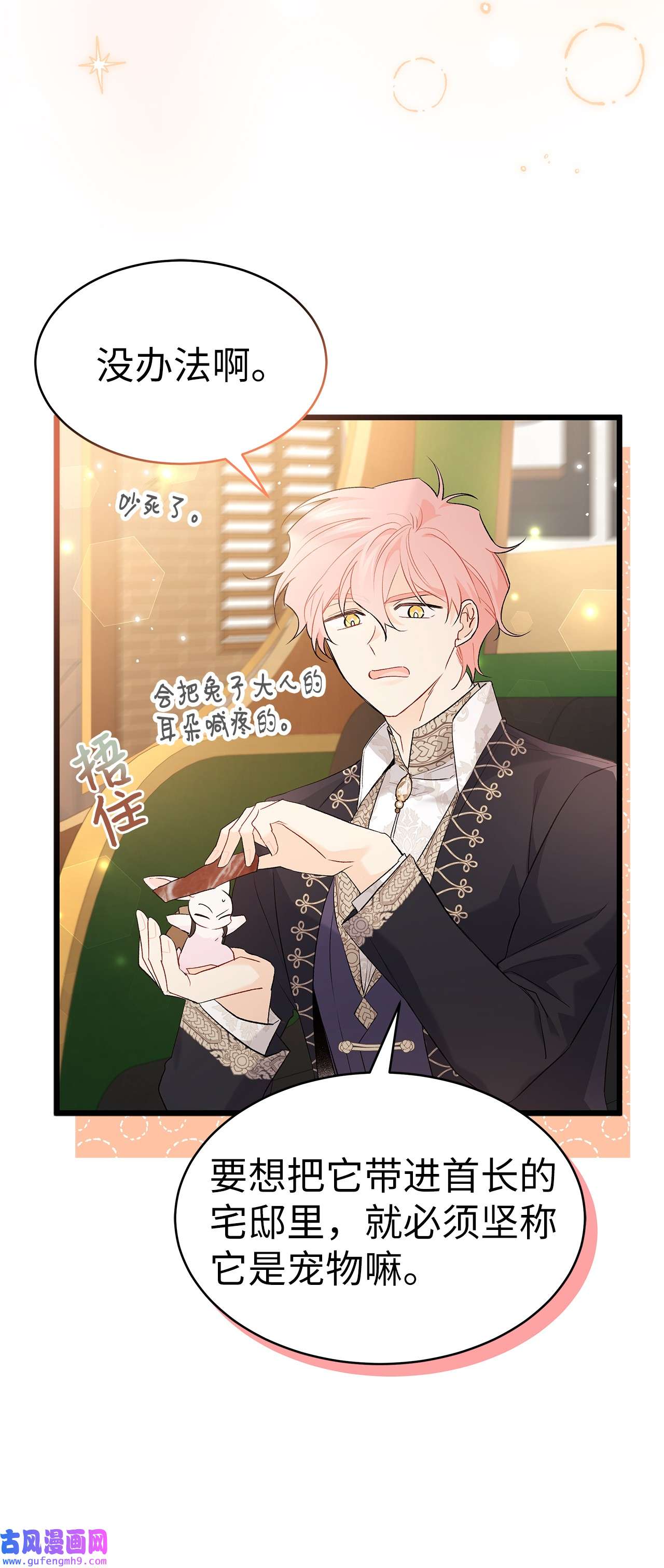 兔子与黑豹的共生关系62 狮子的黑豹