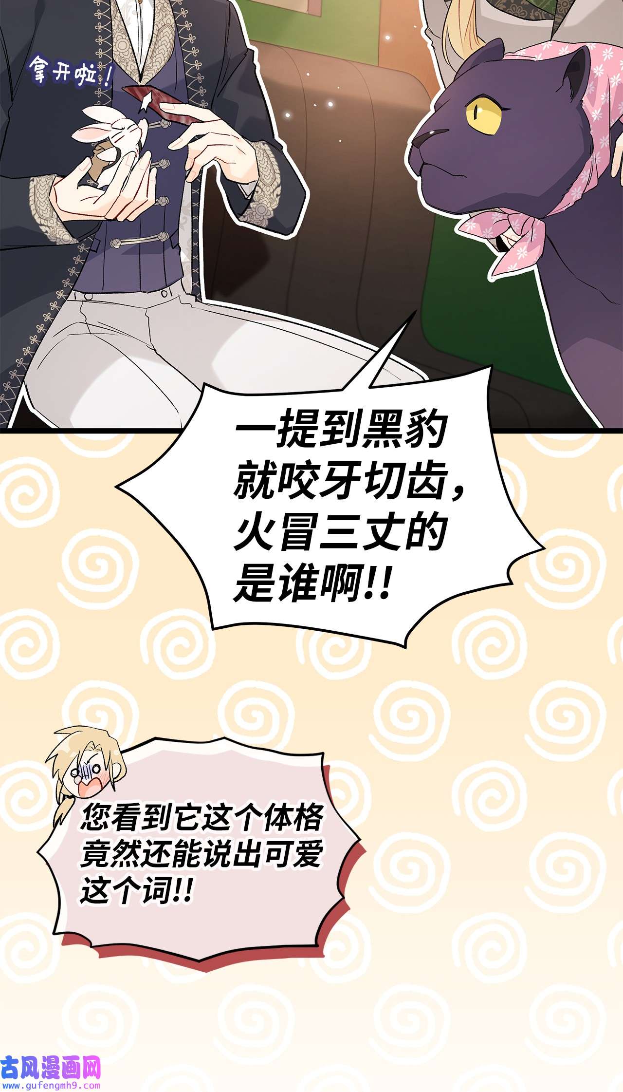 兔子与黑豹的共生关系62 狮子的黑豹