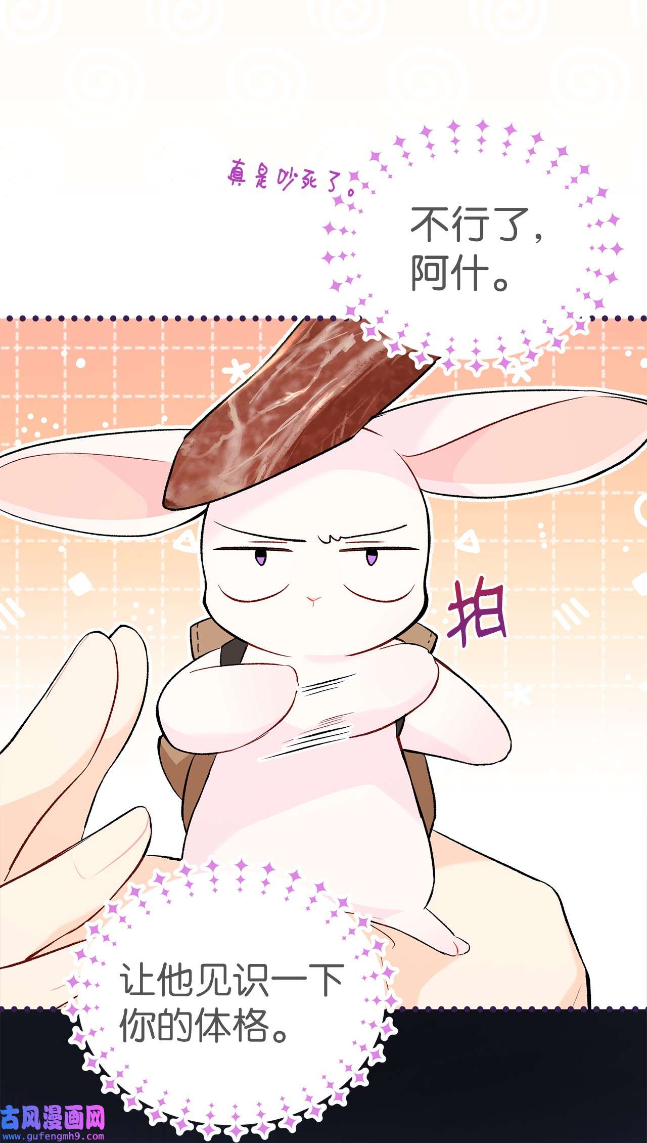 兔子与黑豹的共生关系62 狮子的黑豹