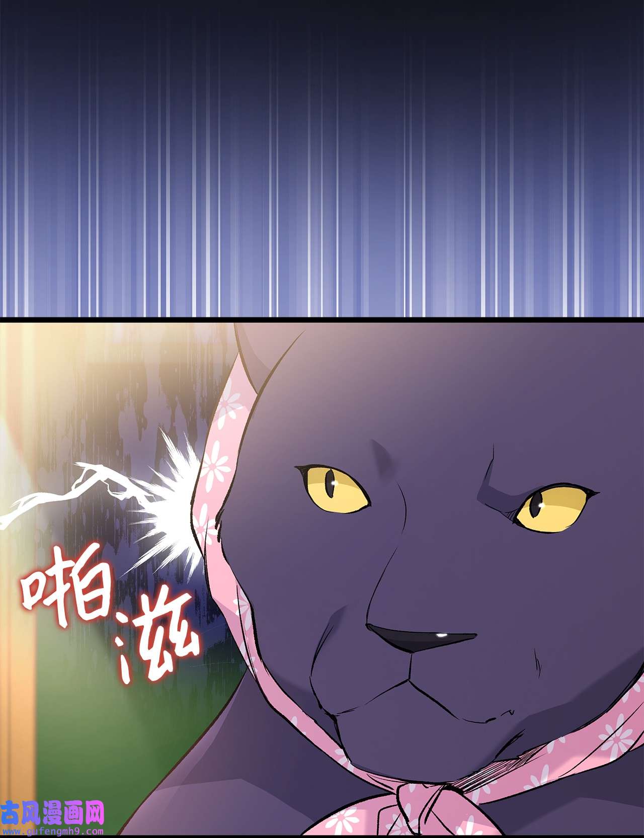 兔子与黑豹的共生关系62 狮子的黑豹