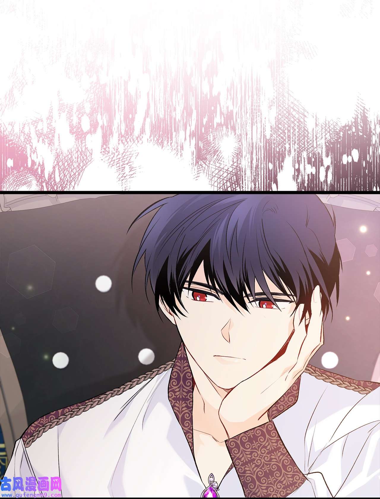 兔子与黑豹的共生关系62 狮子的黑豹