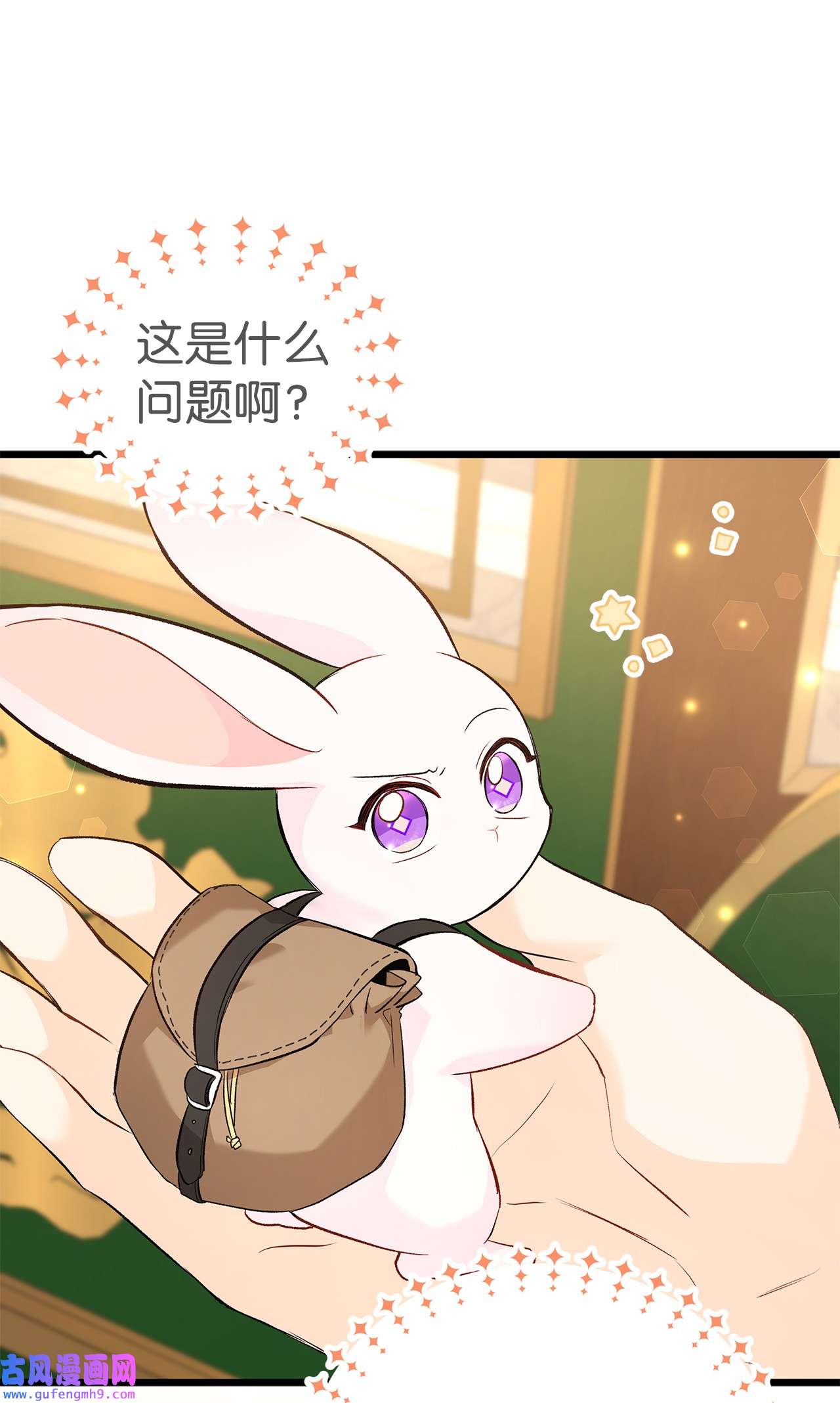 兔子与黑豹的共生关系62 狮子的黑豹