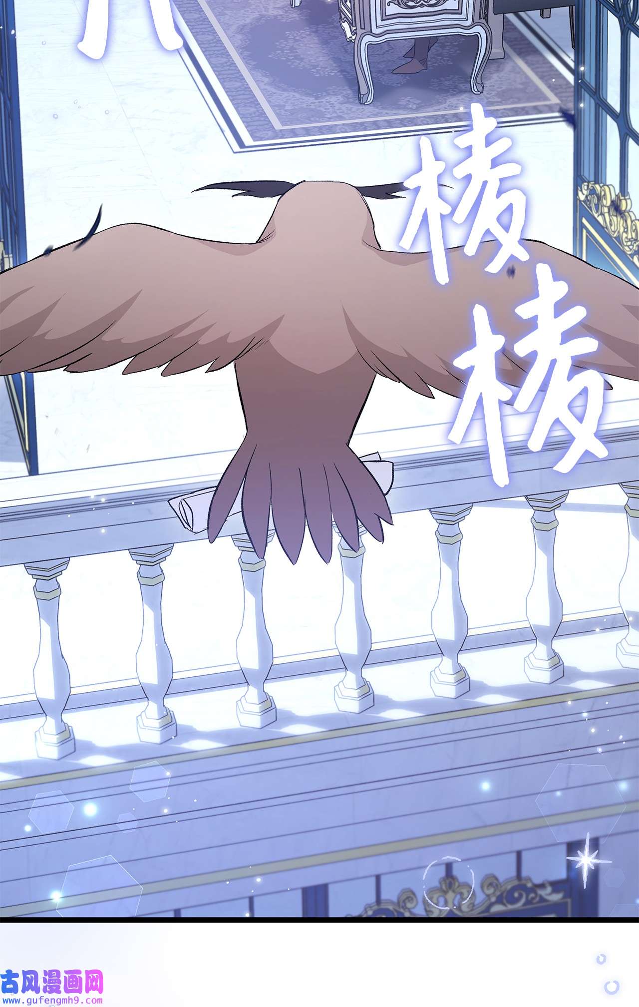 兔子与黑豹的共生关系62 狮子的黑豹