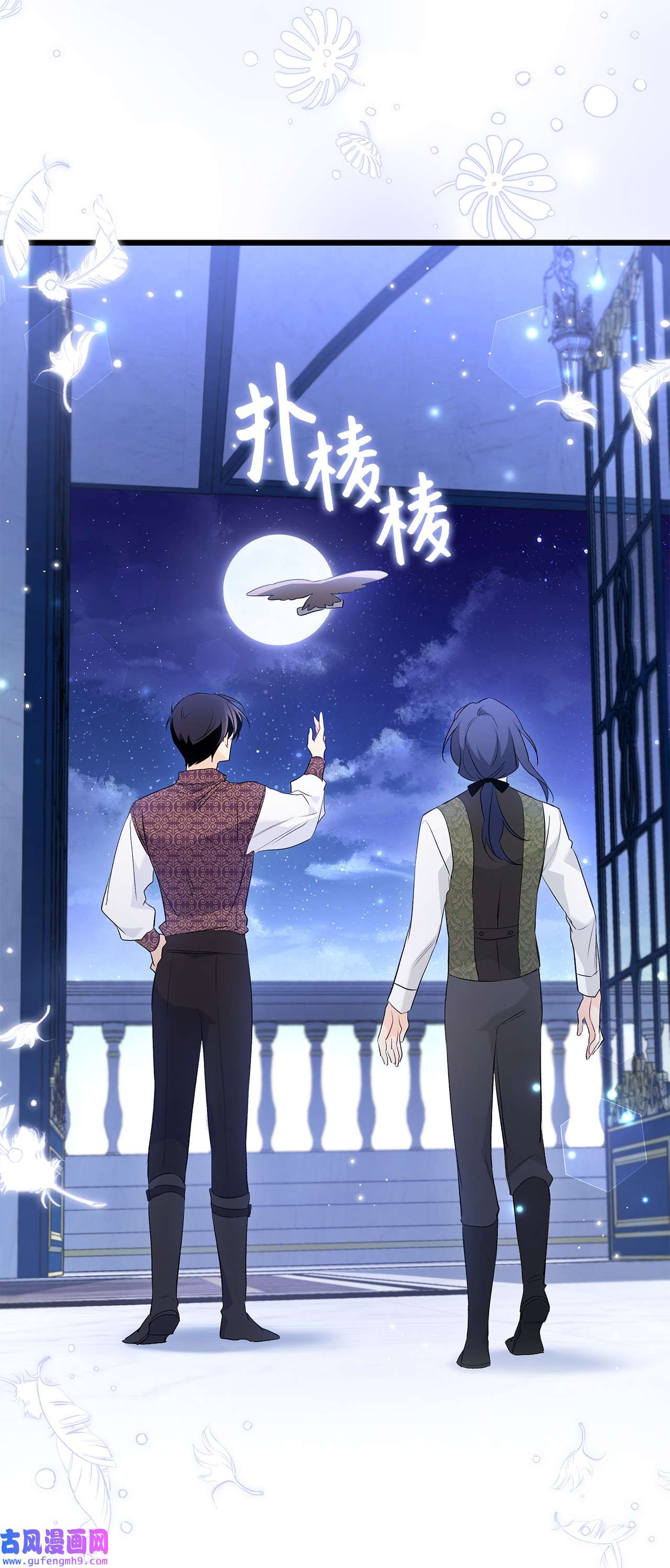 兔子与黑豹的共生关系62 狮子的黑豹