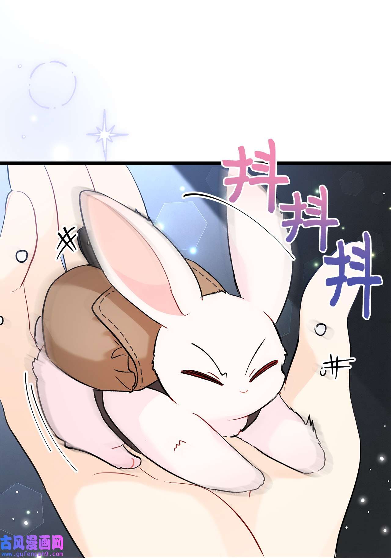 兔子与黑豹的共生关系62 狮子的黑豹