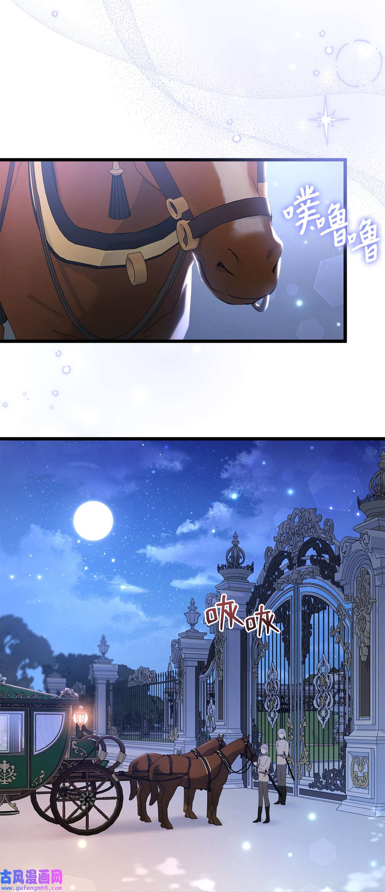 兔子与黑豹的共生关系62 狮子的黑豹