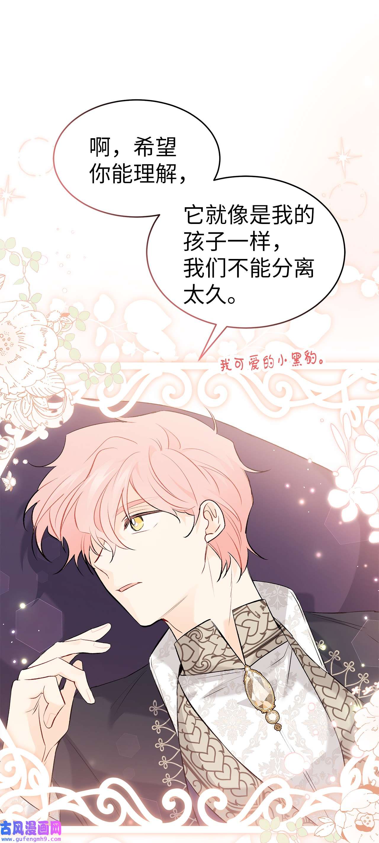 兔子与黑豹的共生关系62 狮子的黑豹