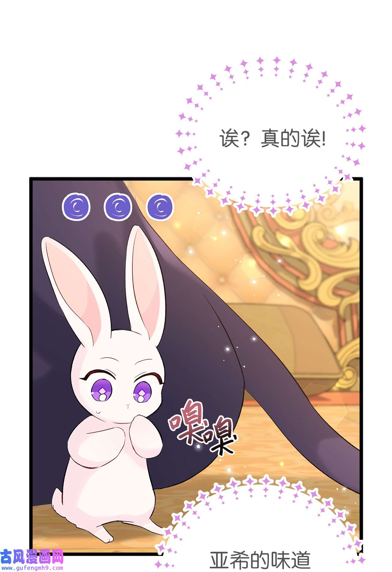 兔子与黑豹的共生关系63 又被看光了？！