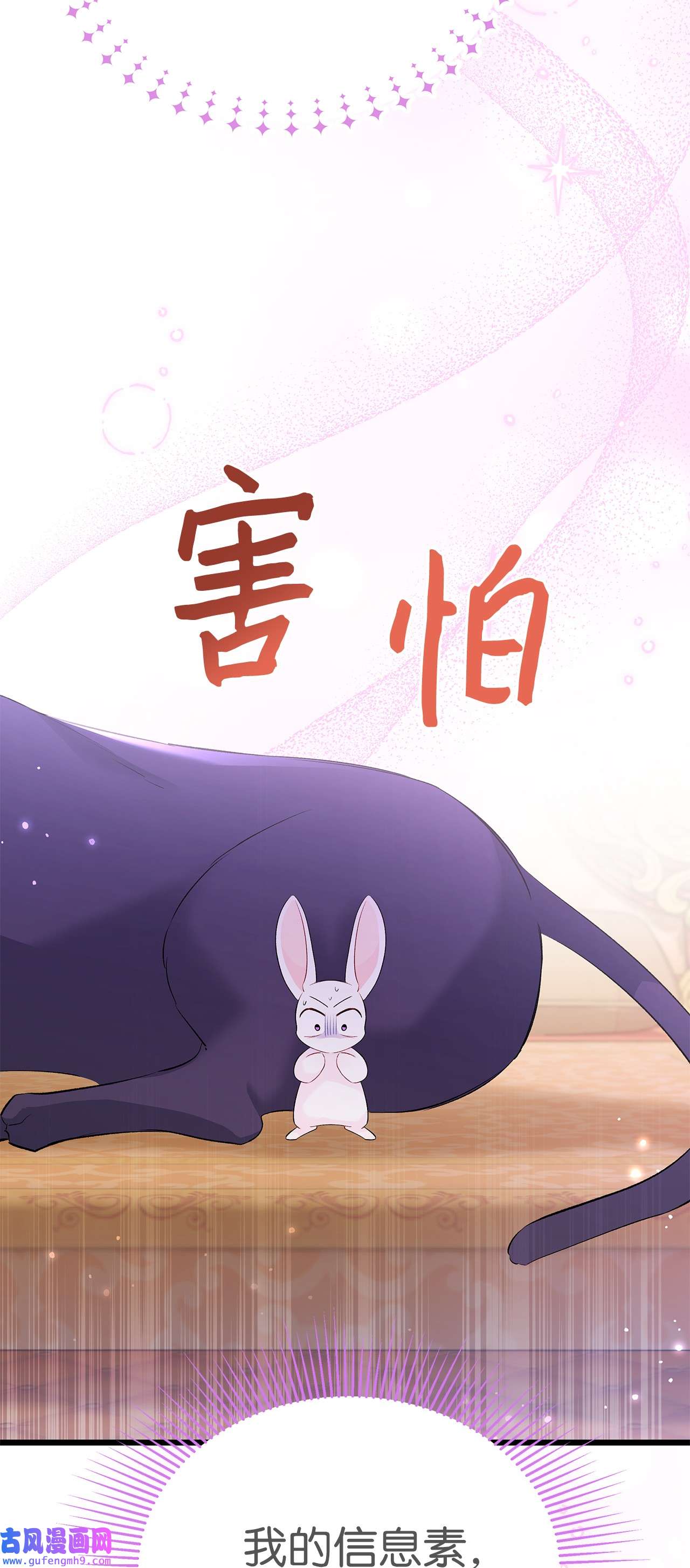 兔子与黑豹的共生关系63 又被看光了？！