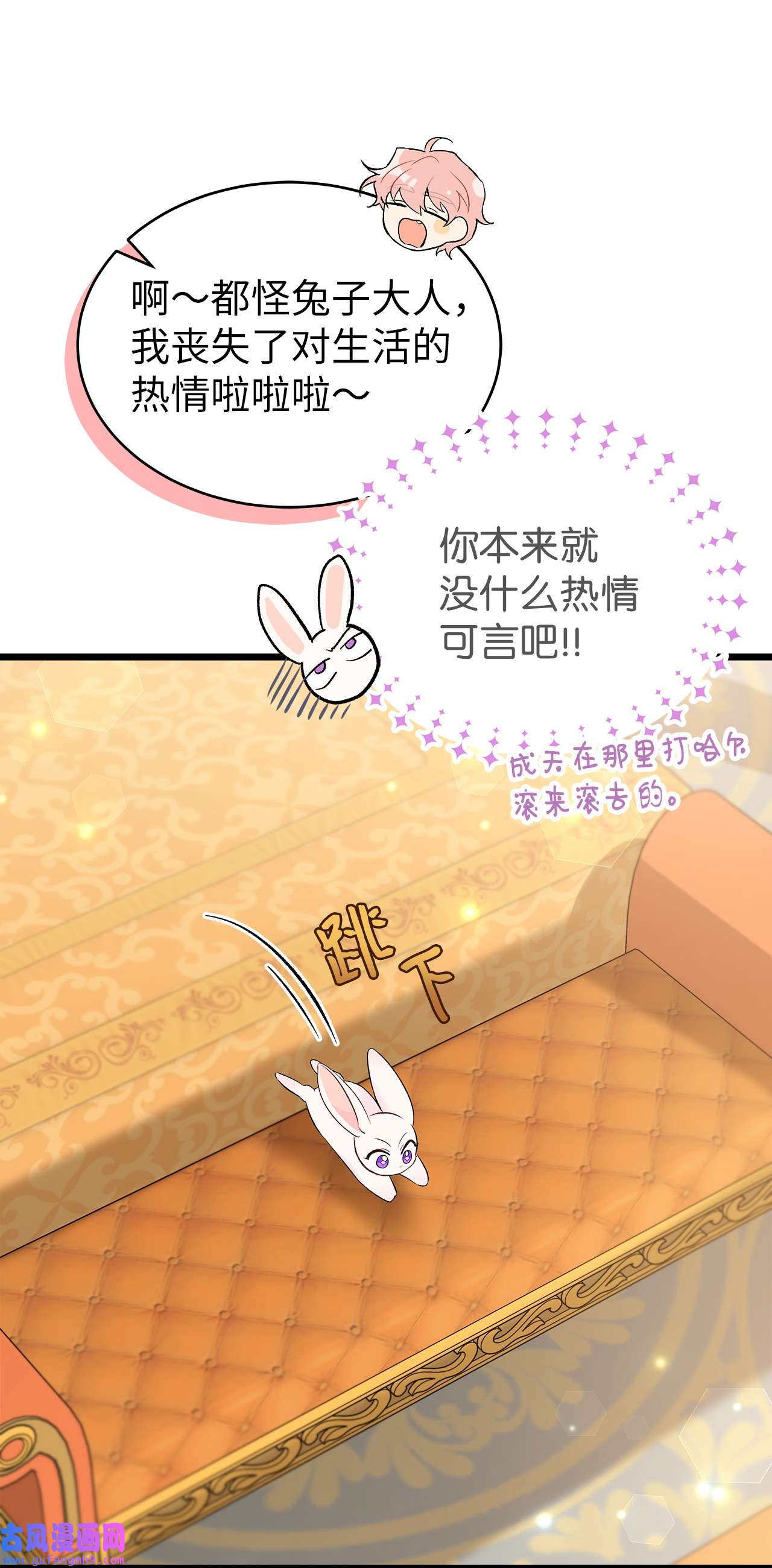 兔子与黑豹的共生关系63 又被看光了？！