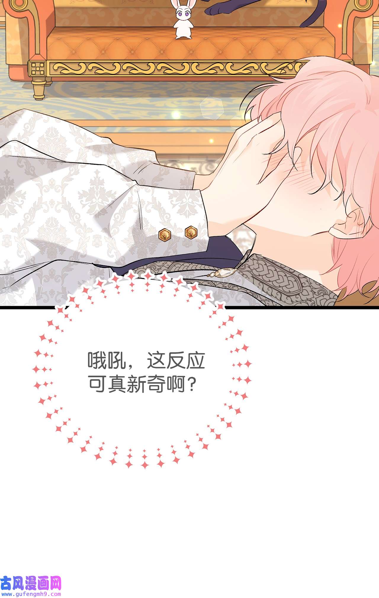 兔子与黑豹的共生关系63 又被看光了？！