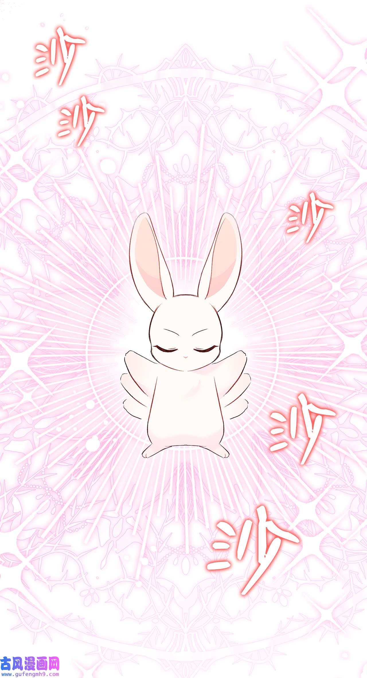 兔子与黑豹的共生关系63 又被看光了？！