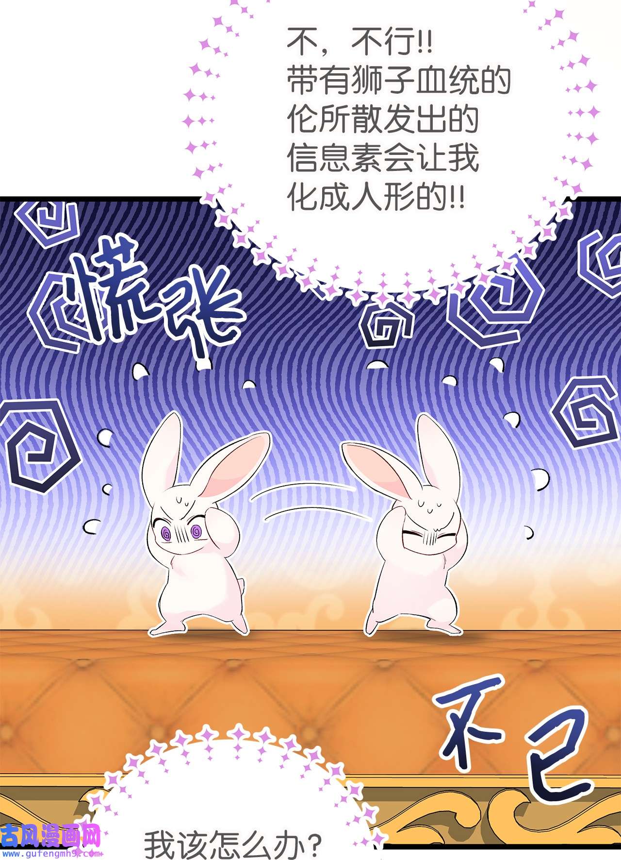 兔子与黑豹的共生关系63 又被看光了？！