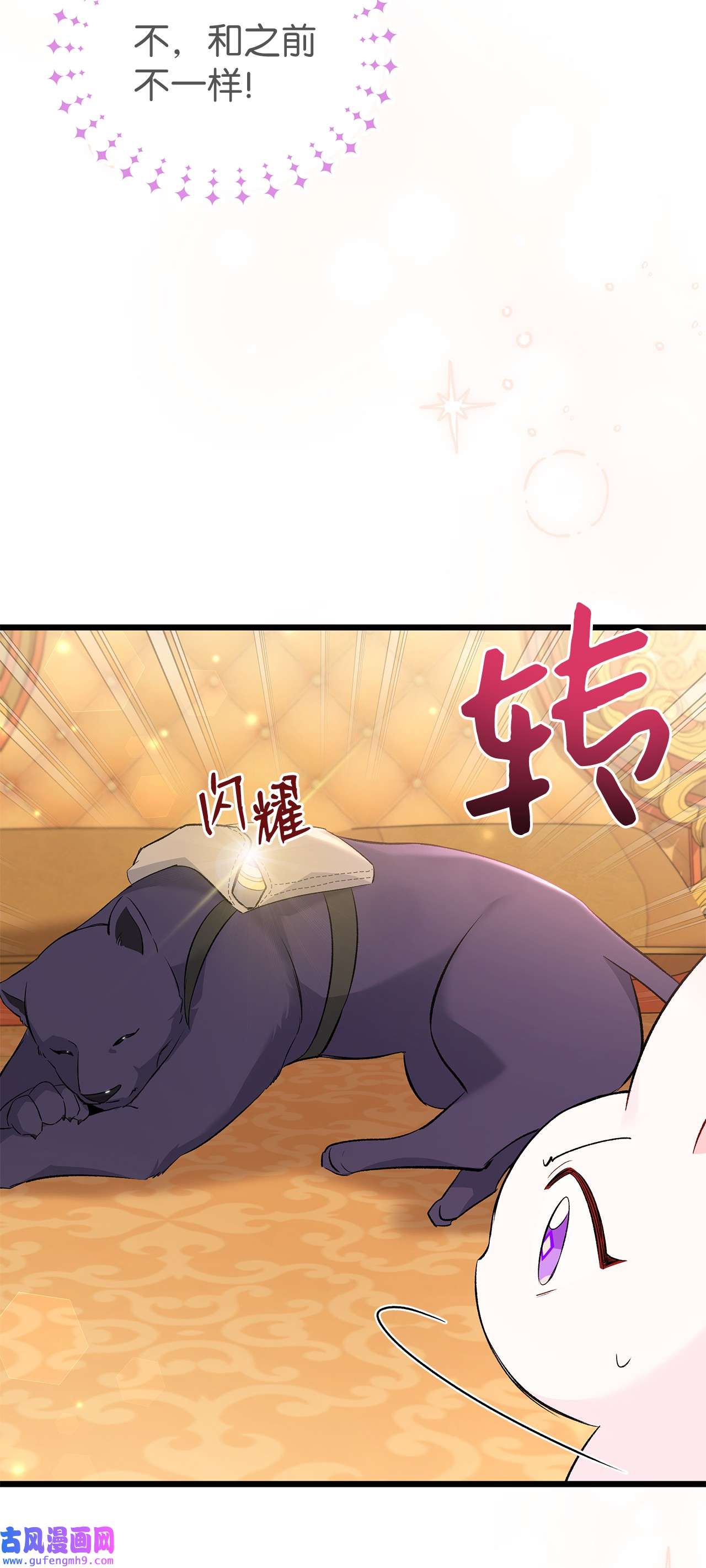 兔子与黑豹的共生关系63 又被看光了？！