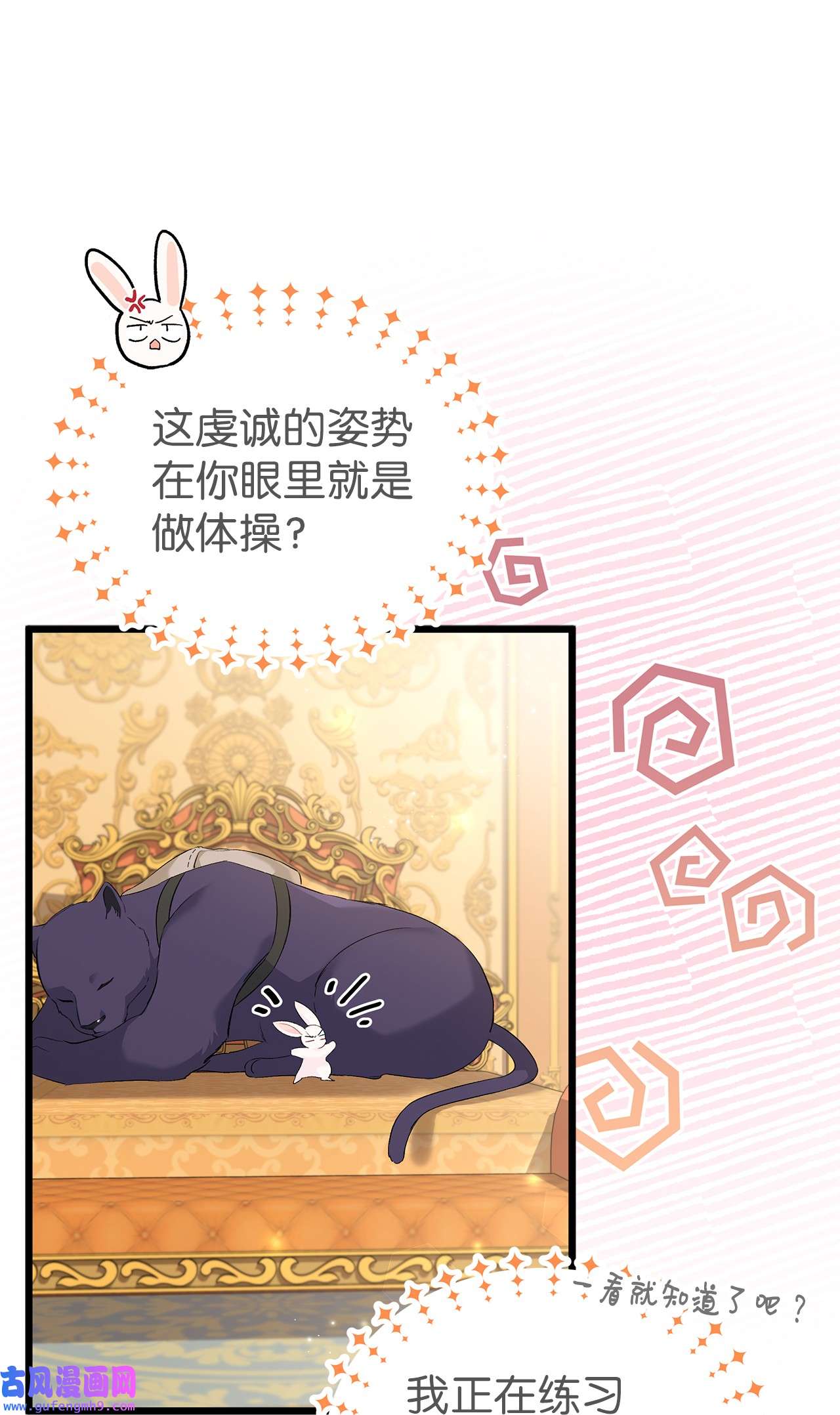 兔子与黑豹的共生关系63 又被看光了？！