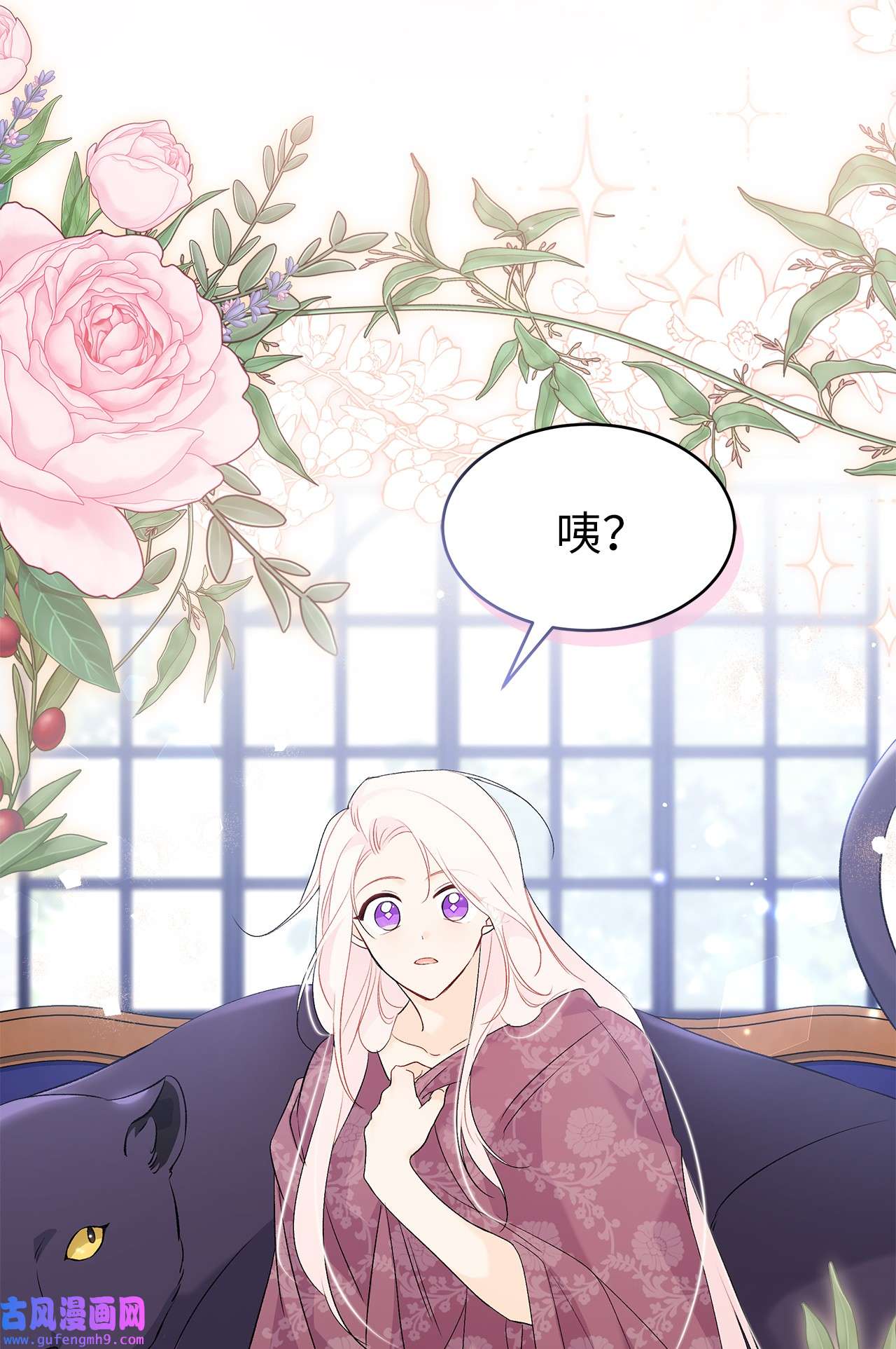 兔子与黑豹的共生关系63 又被看光了？！