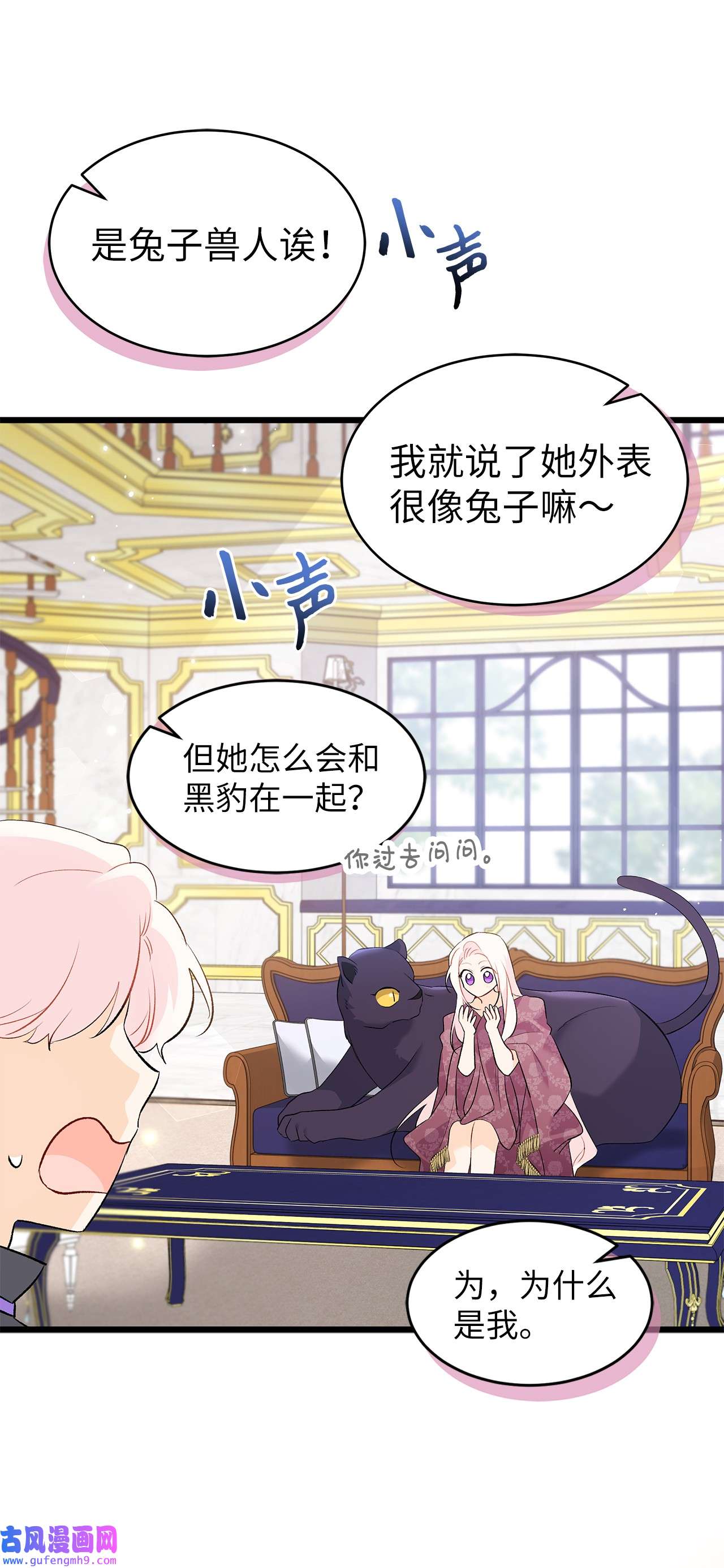 兔子与黑豹的共生关系63 又被看光了？！