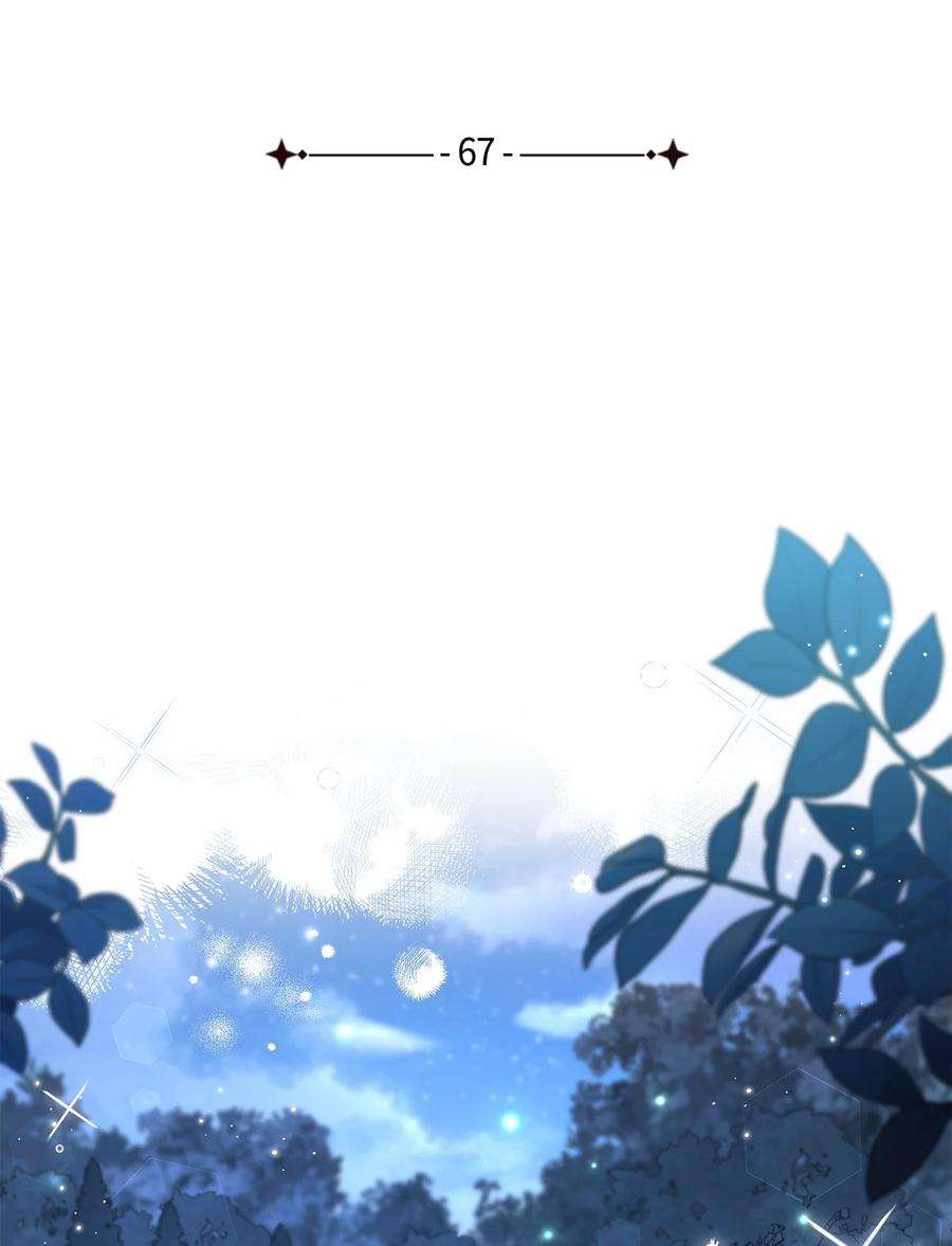 兔子与黑豹的共生关系67 捏造的诅咒