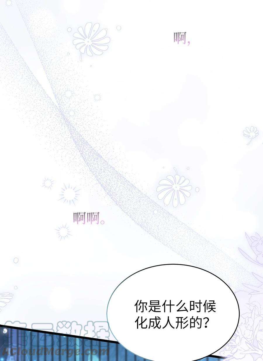 兔子与黑豹的共生关系67 捏造的诅咒