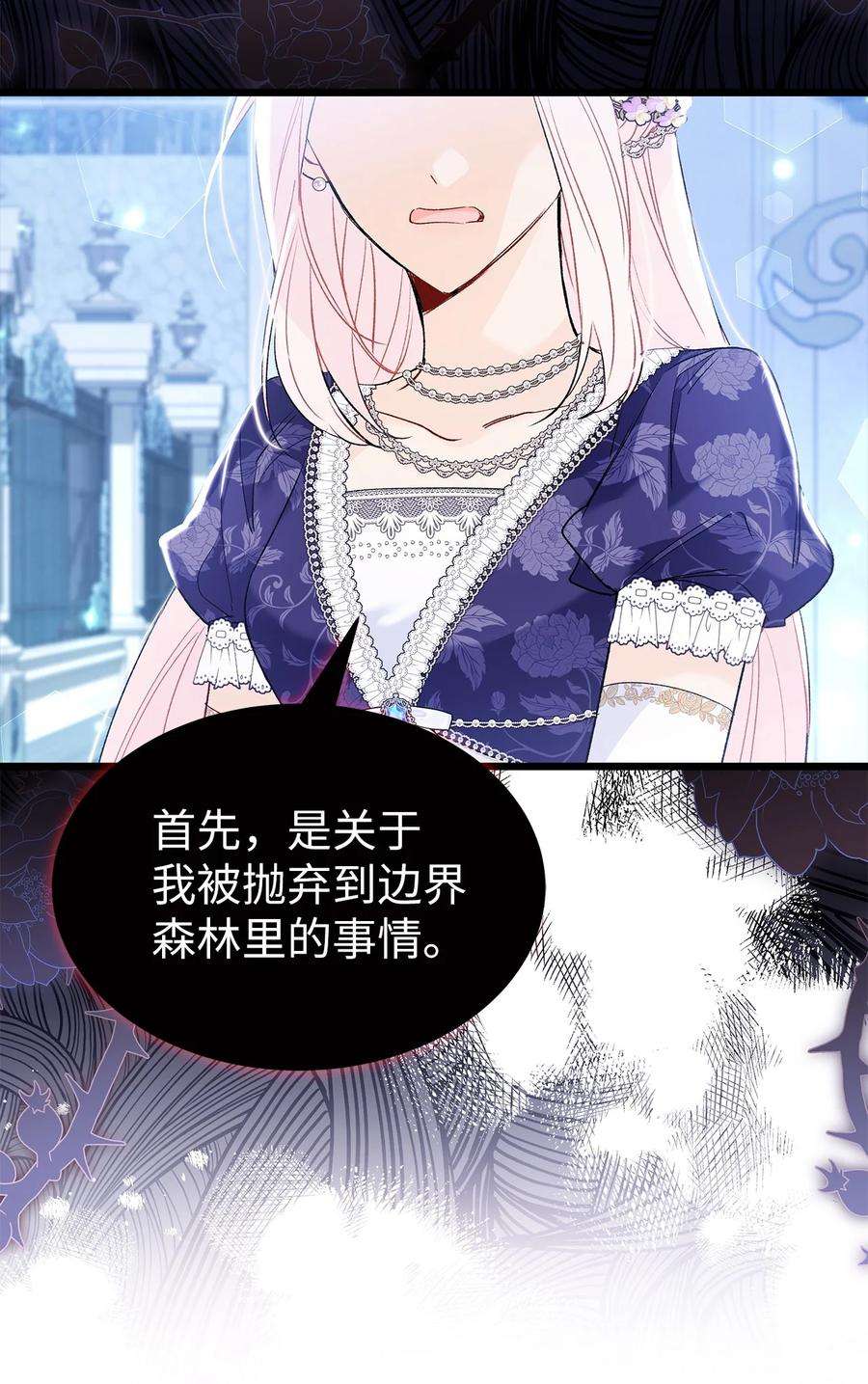 兔子与黑豹的共生关系67 捏造的诅咒