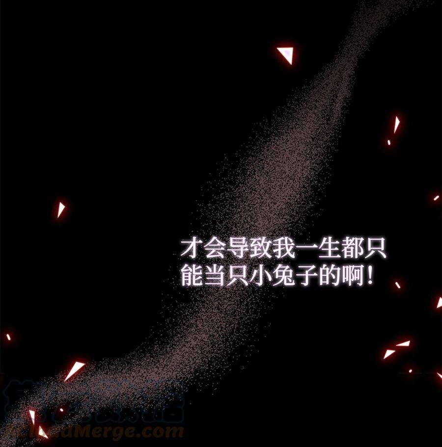 兔子与黑豹的共生关系67 捏造的诅咒