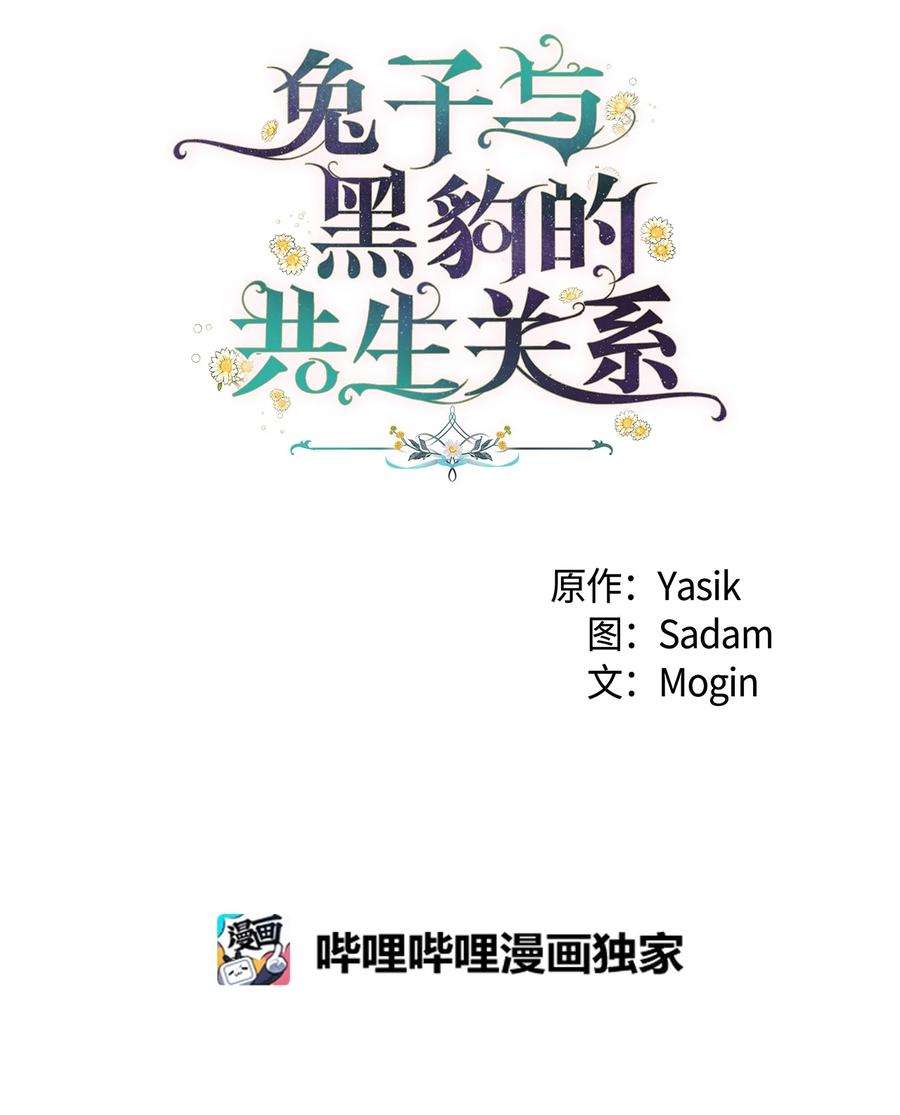 兔子与黑豹的共生关系67 捏造的诅咒